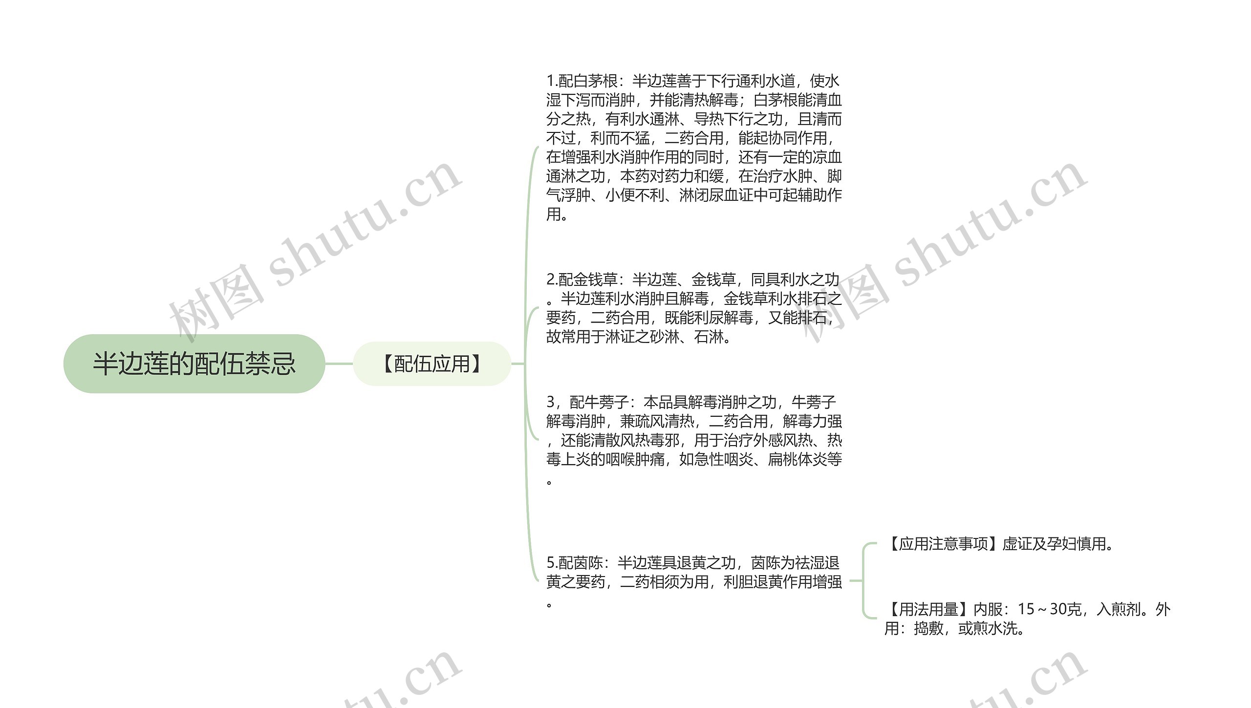 半边莲的配伍禁忌思维导图