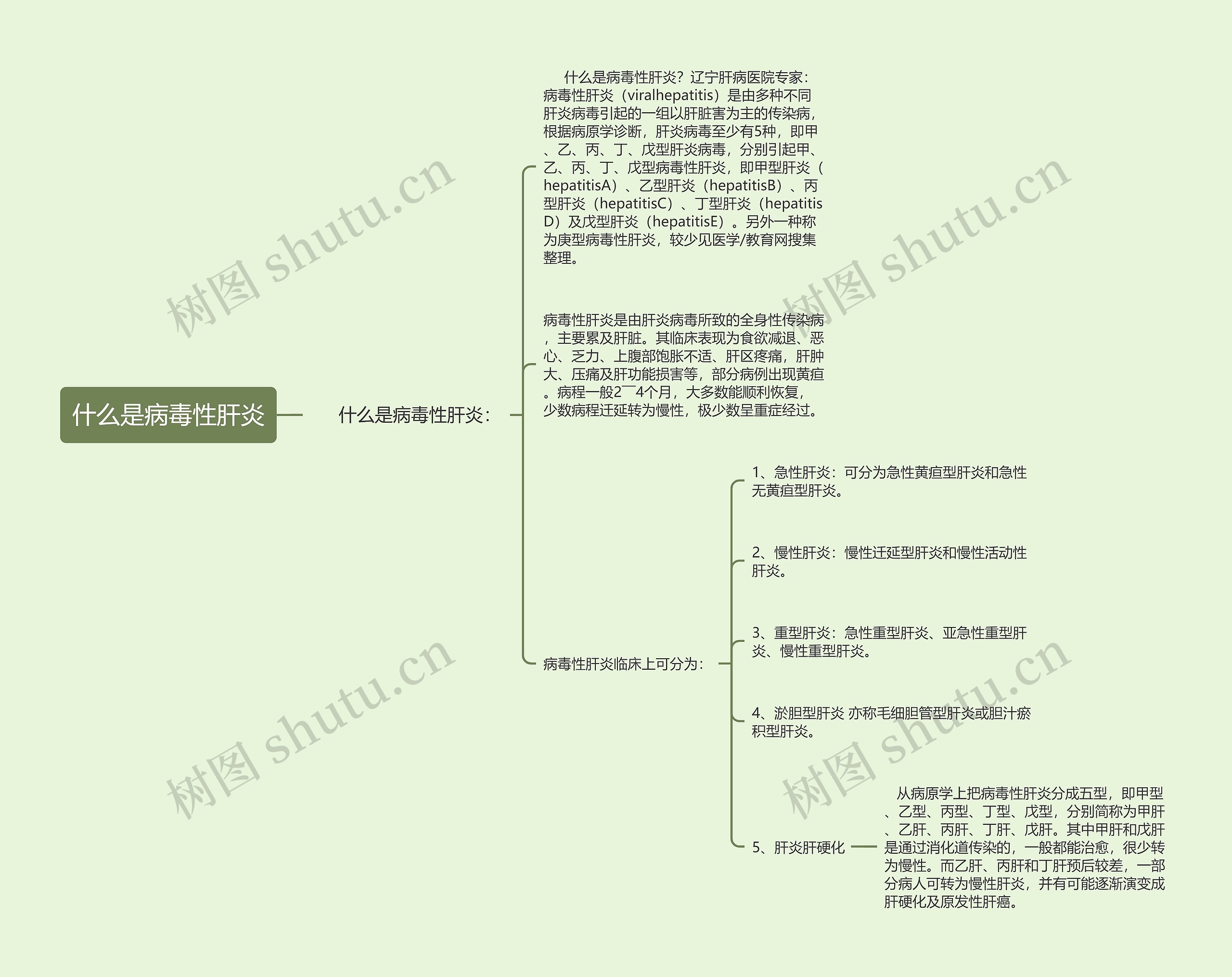 什么是病毒性肝炎思维导图