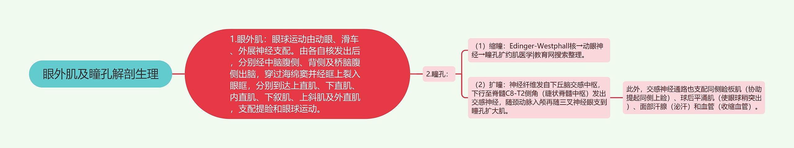 眼外肌及瞳孔解剖生理 眼外肌及瞳孔解剖生理