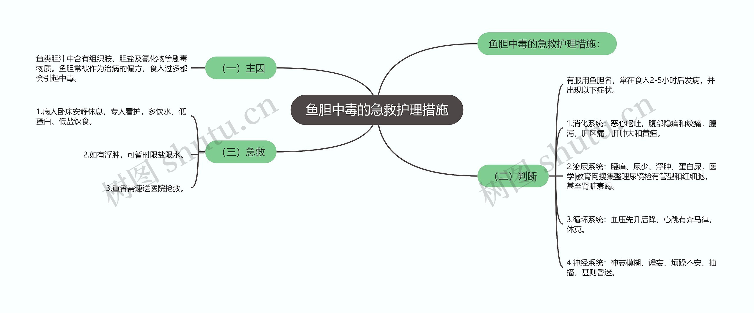 鱼胆中毒的急救护理措施