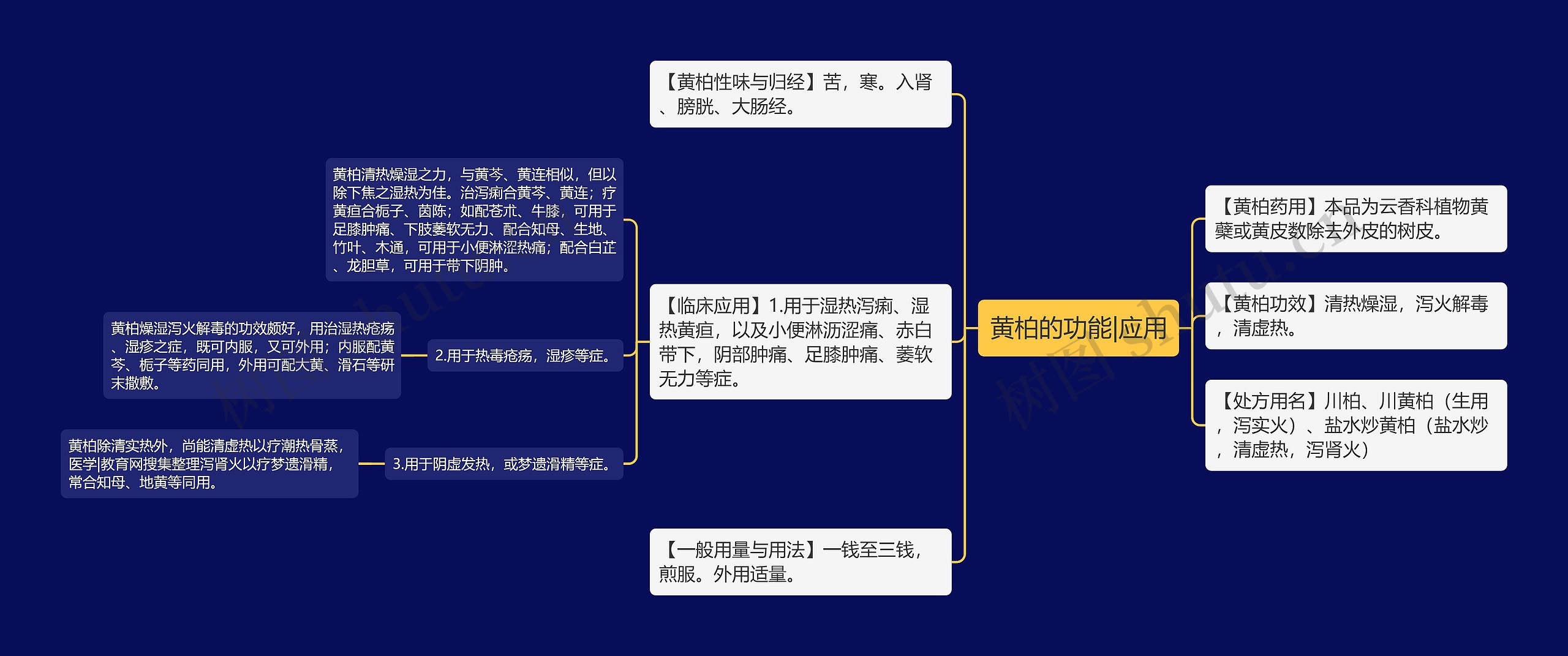黄柏的功能|应用思维导图
