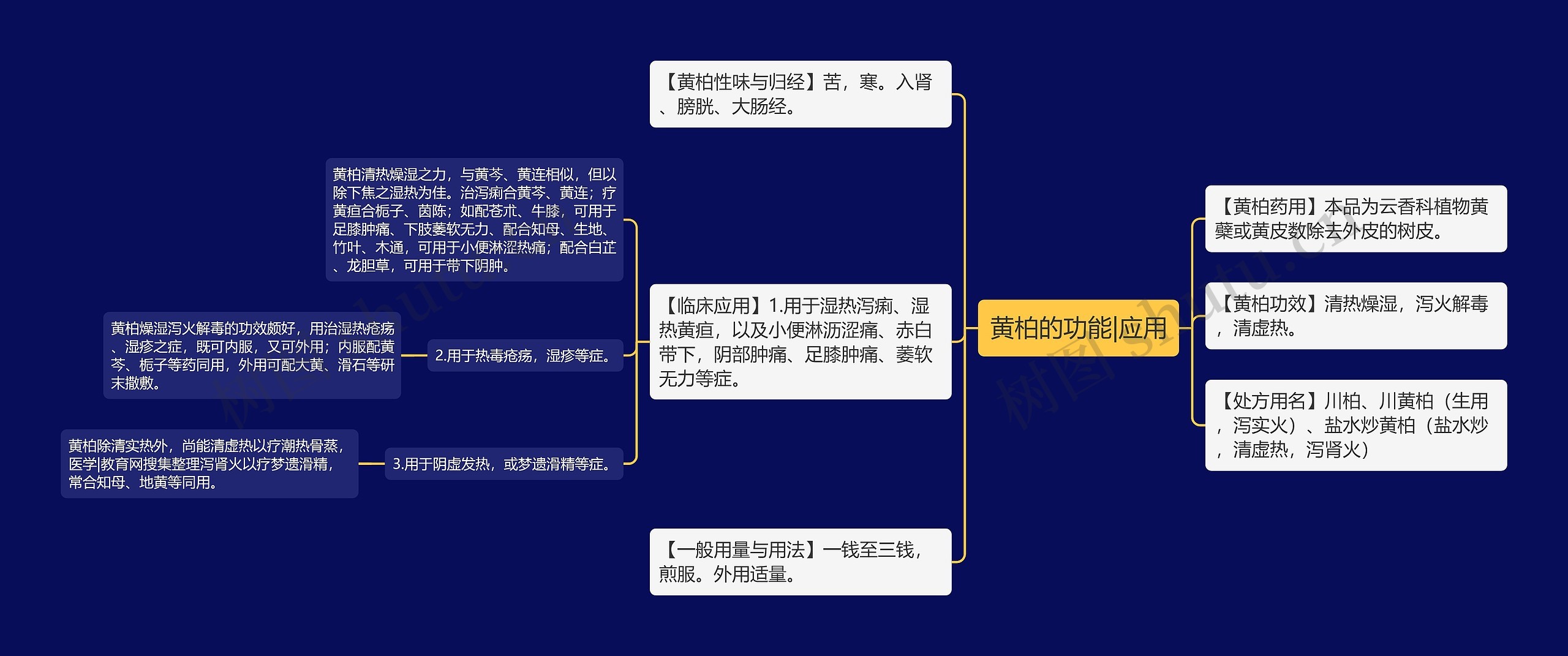 黄柏的功能|应用 黄柏的功能|应用