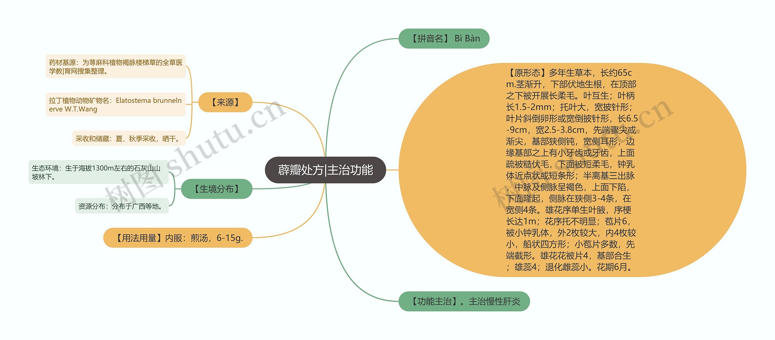 薜瓣处方|主治功能思维导图