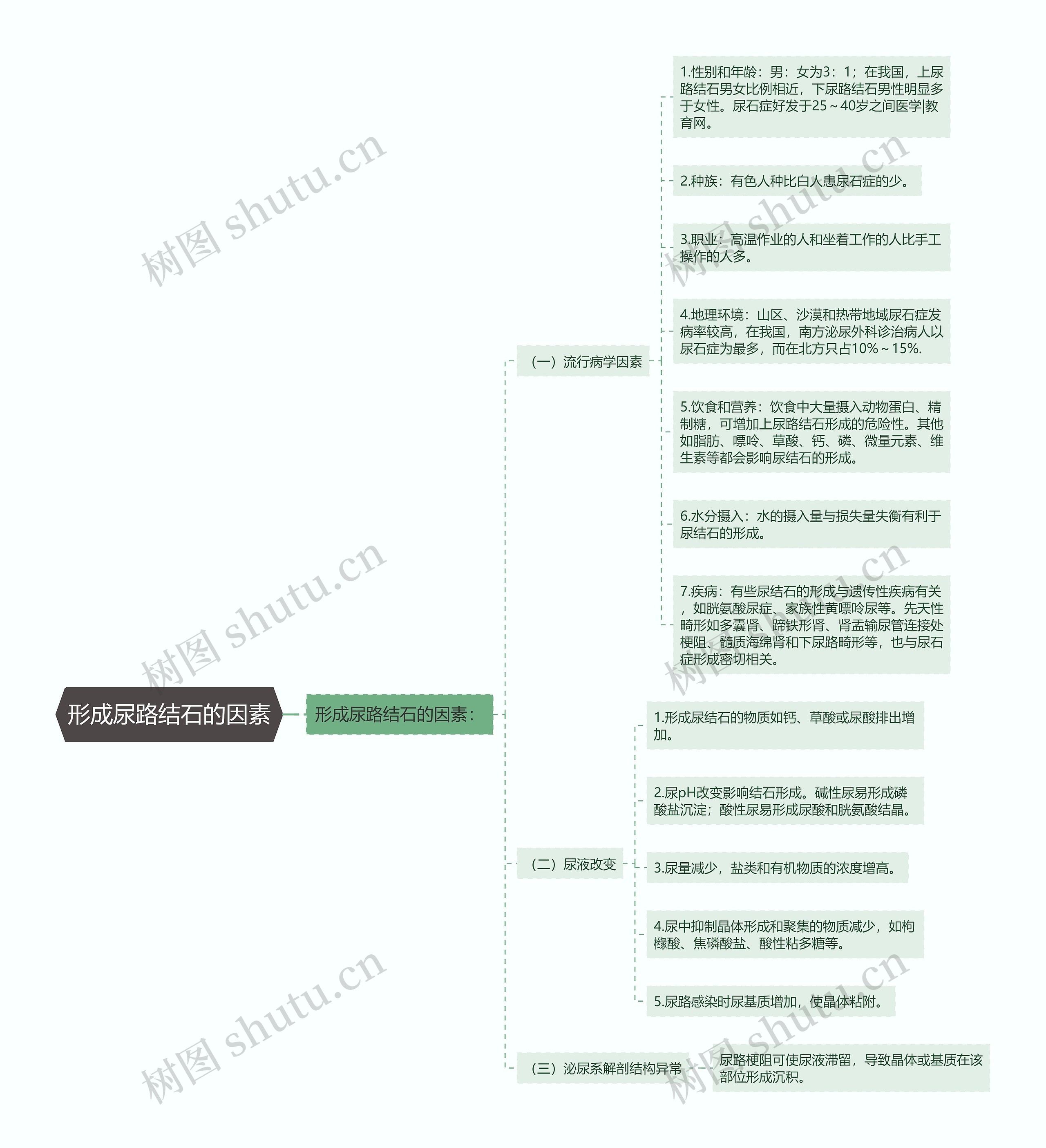 形成尿路结石的因素思维导图