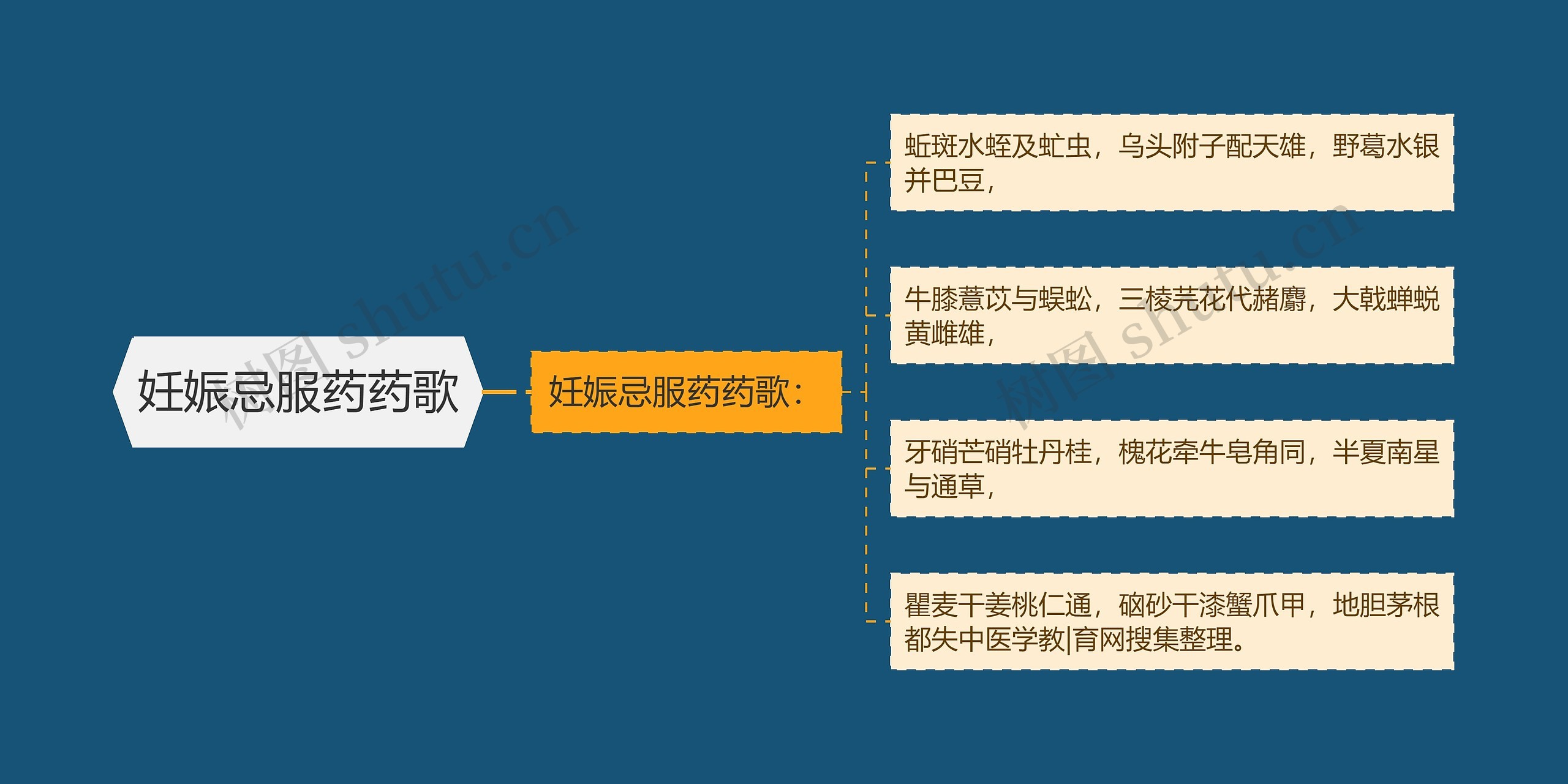 妊娠忌服药药歌思维导图