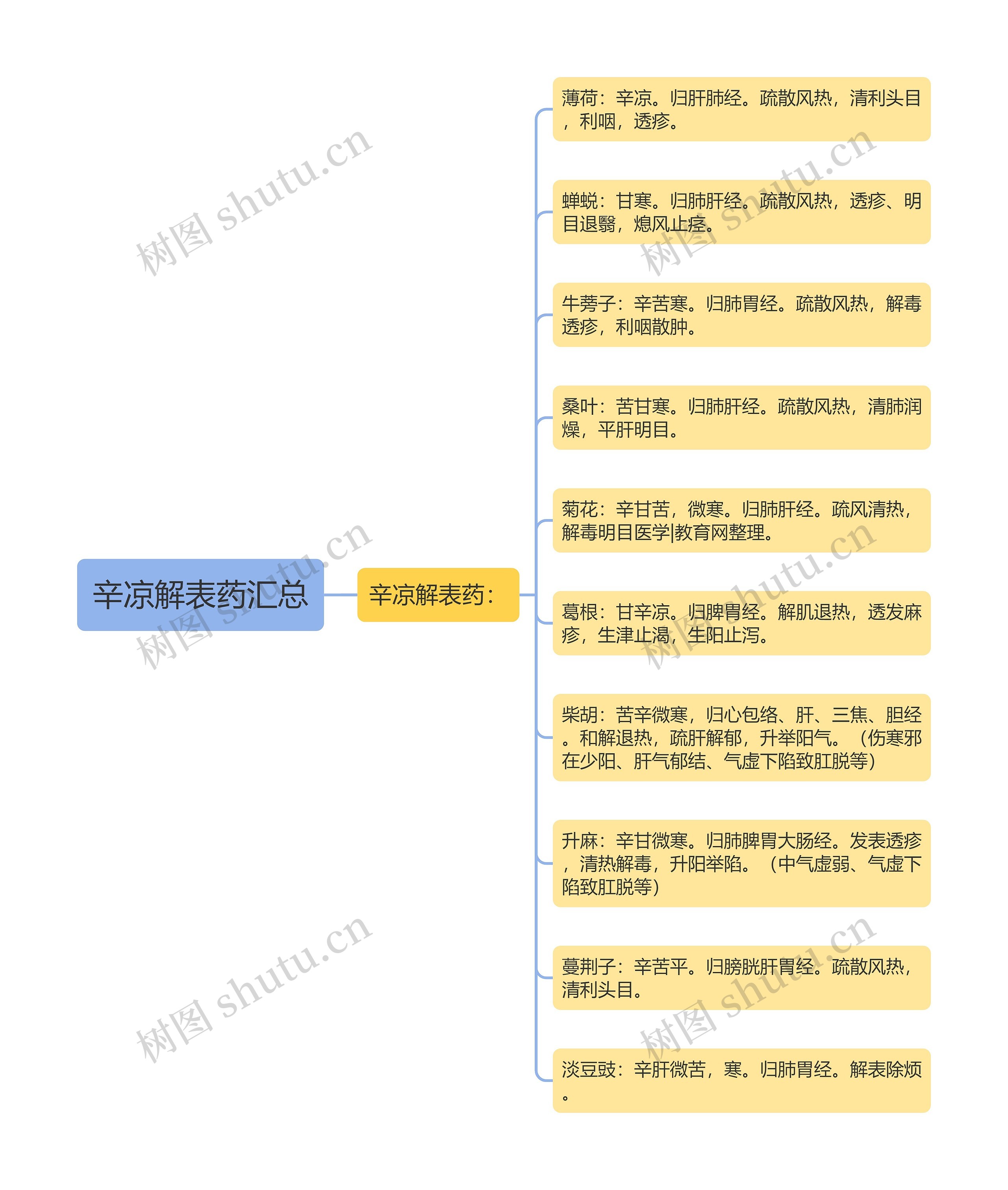 辛凉解表药汇总思维导图