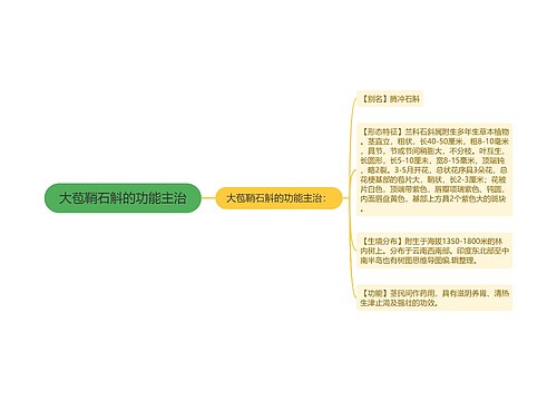 大苞鞘石斛的功能主治