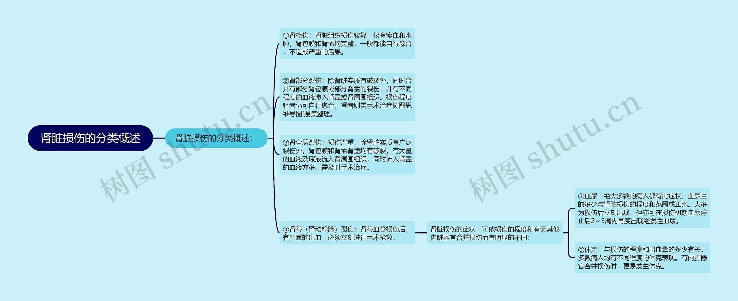 肾脏损伤的分类概述思维导图