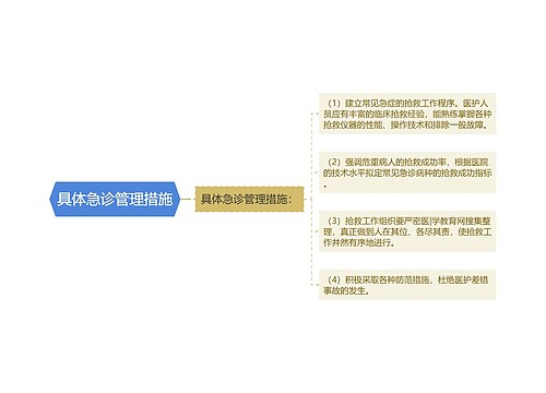 具体急诊管理措施