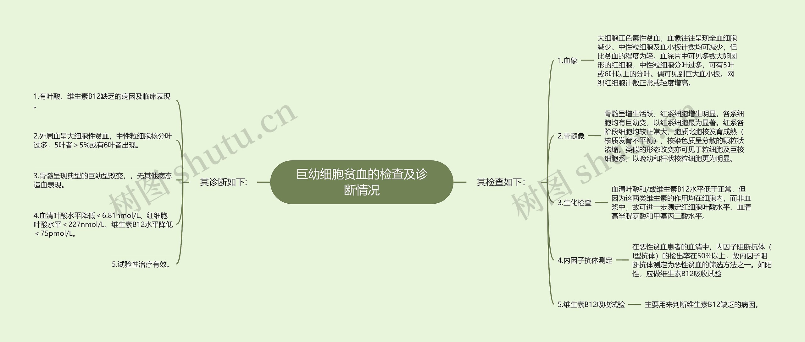 巨幼细胞贫血的检查及诊断情况思维导图