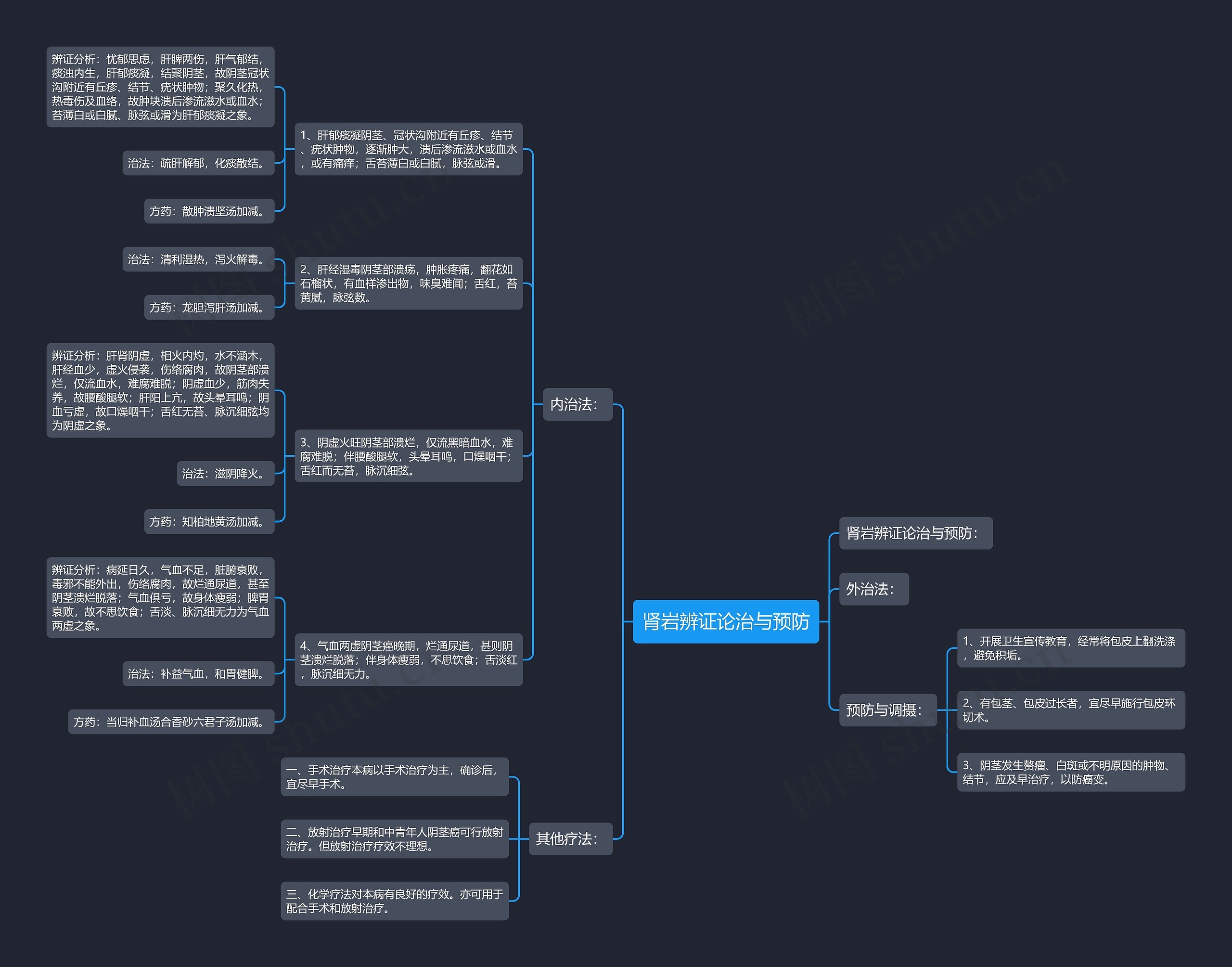 肾岩辨证论治与预防思维导图