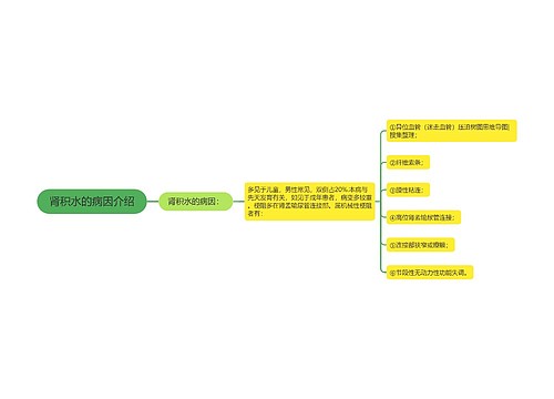 肾积水的病因介绍
