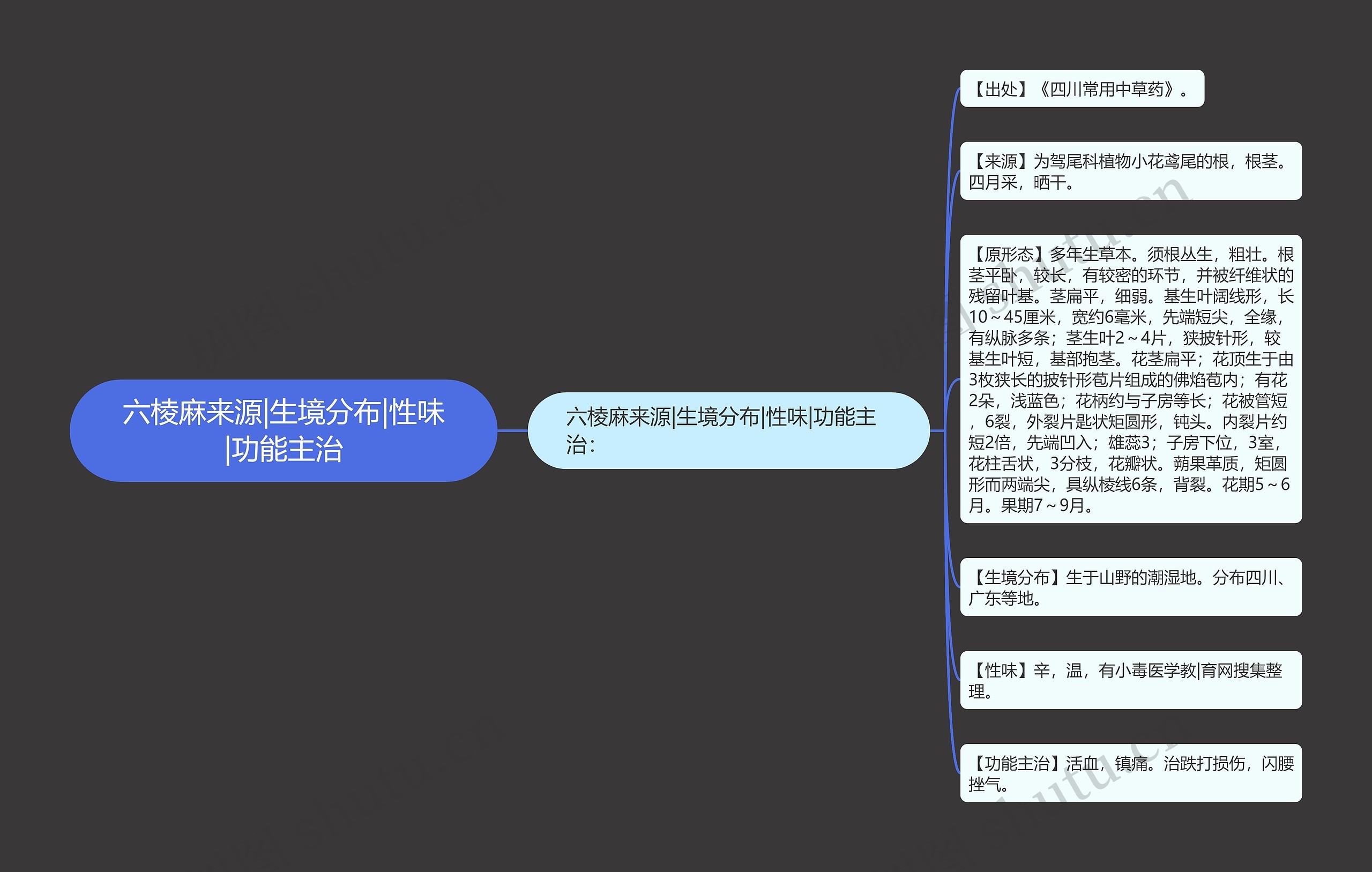 六棱麻来源|生境分布|性味|功能主治 六棱麻来源|生境分布|性味|功能主治