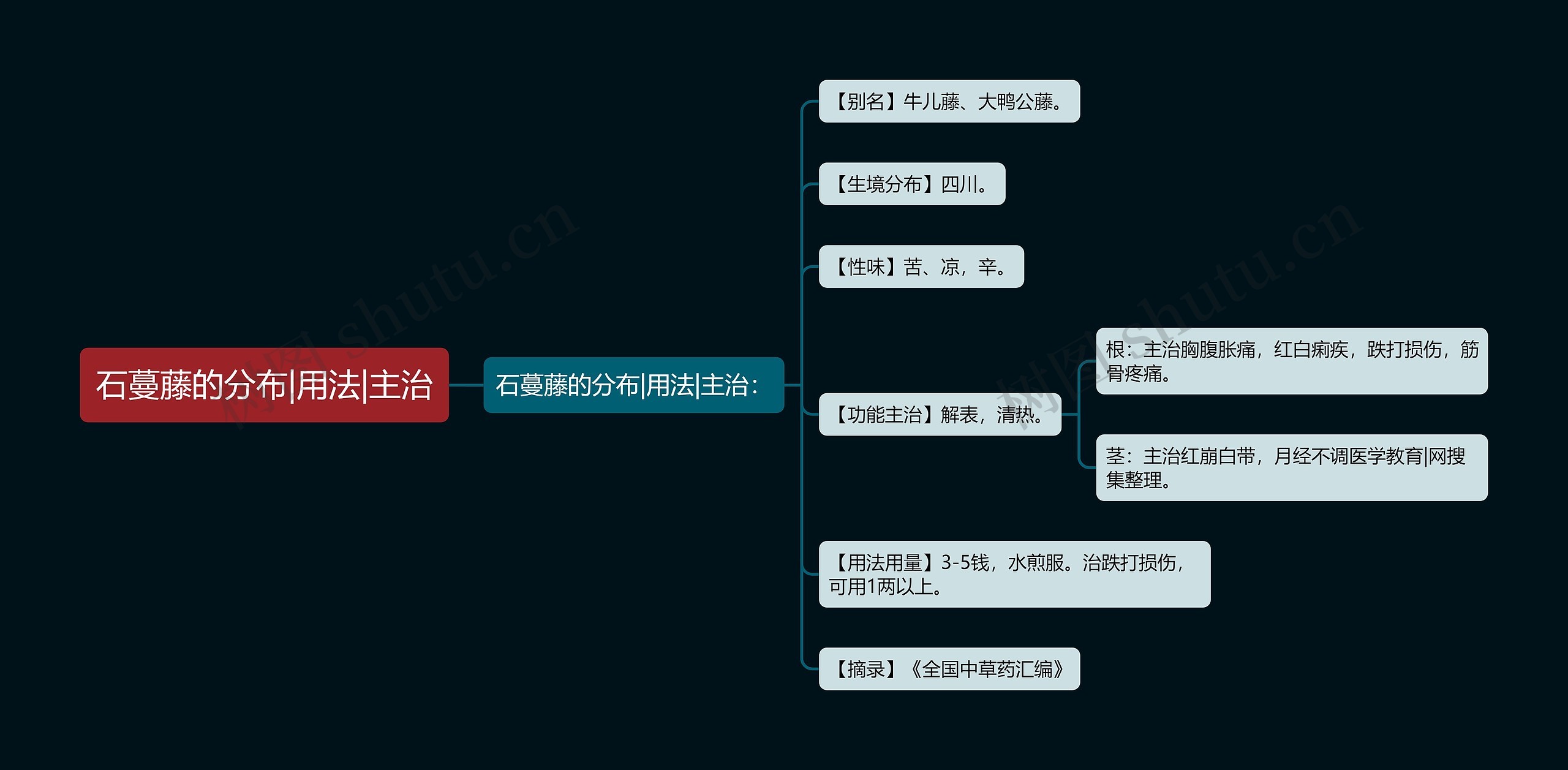 石蔓藤的分布|用法|主治思维导图