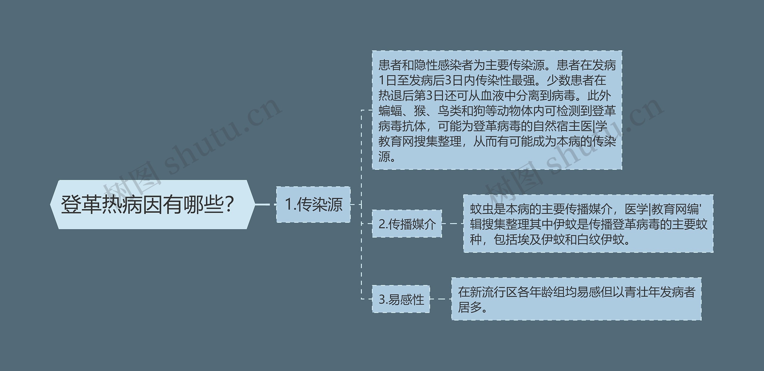 登革热病因有哪些？思维导图