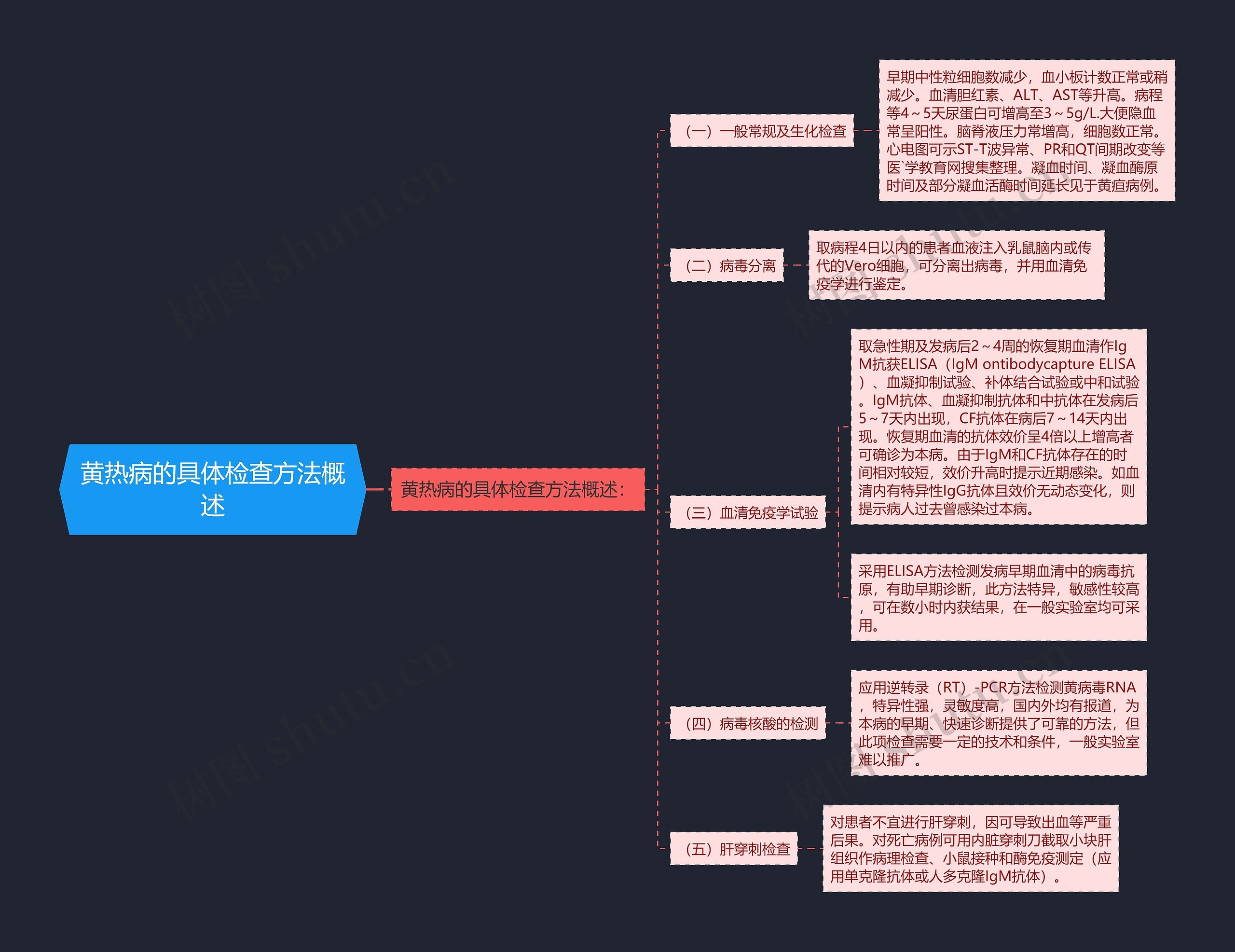 黄热病的具体检查方法概述思维导图