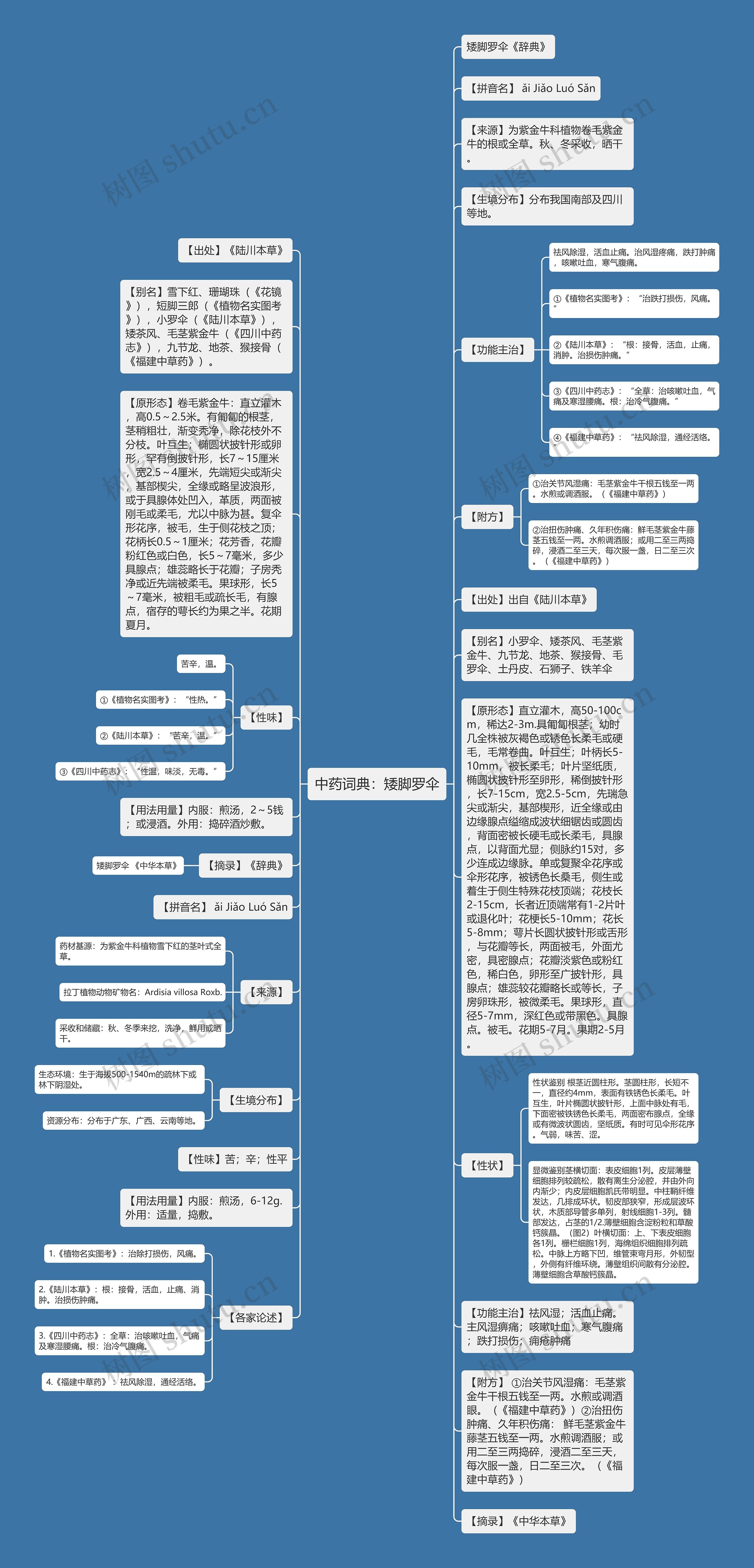 中药词典：矮脚罗伞思维导图