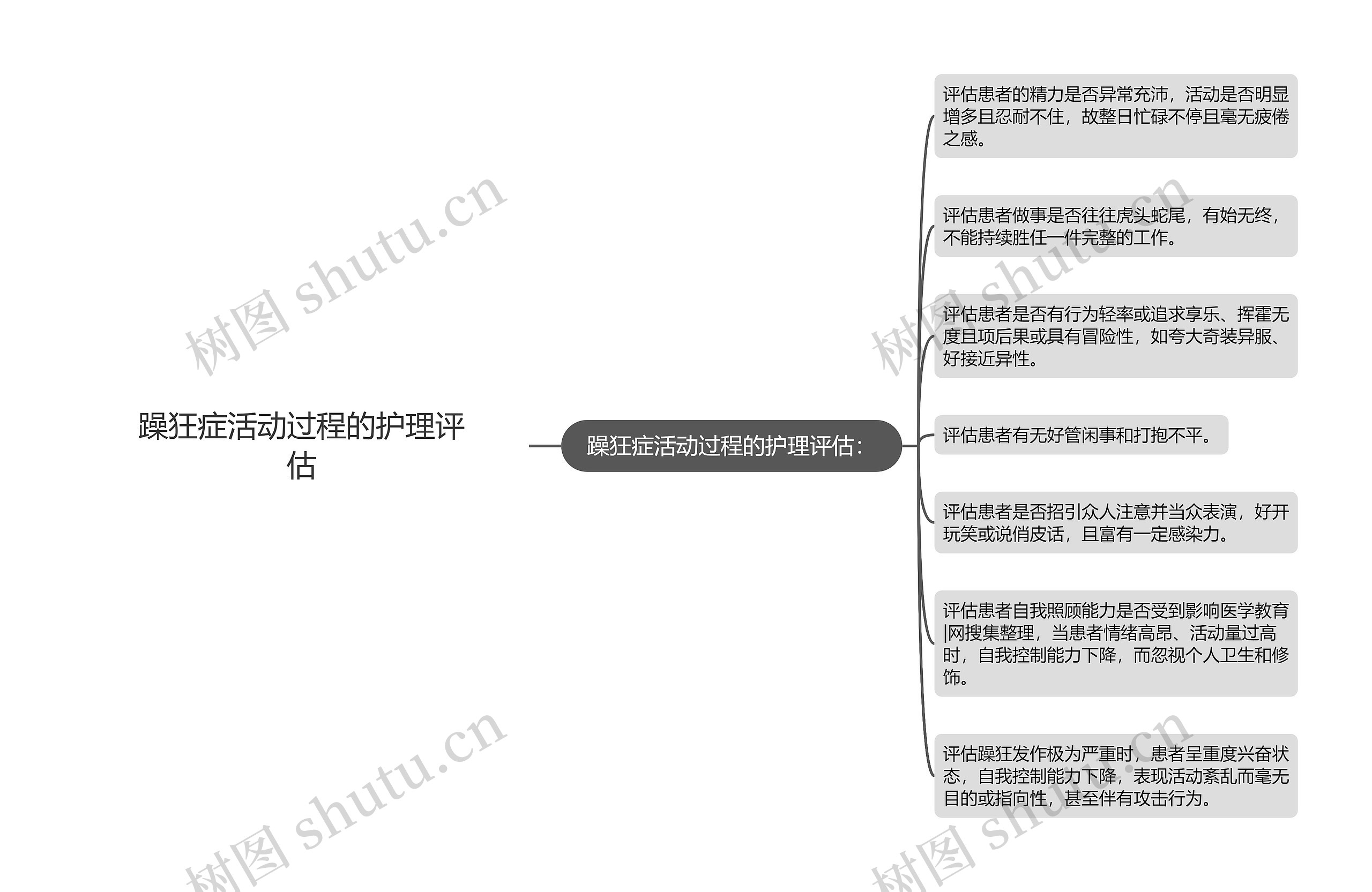 躁狂症活动过程的护理评估思维导图