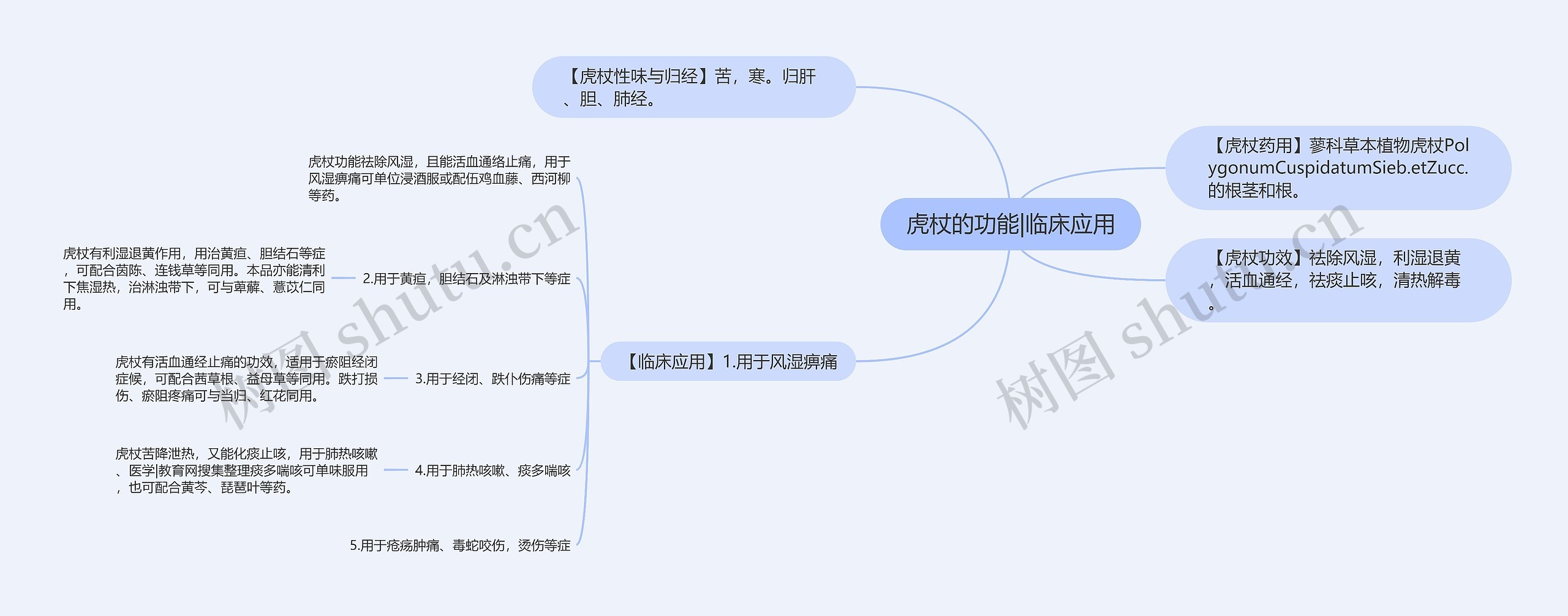 虎杖的功能|临床应用思维导图