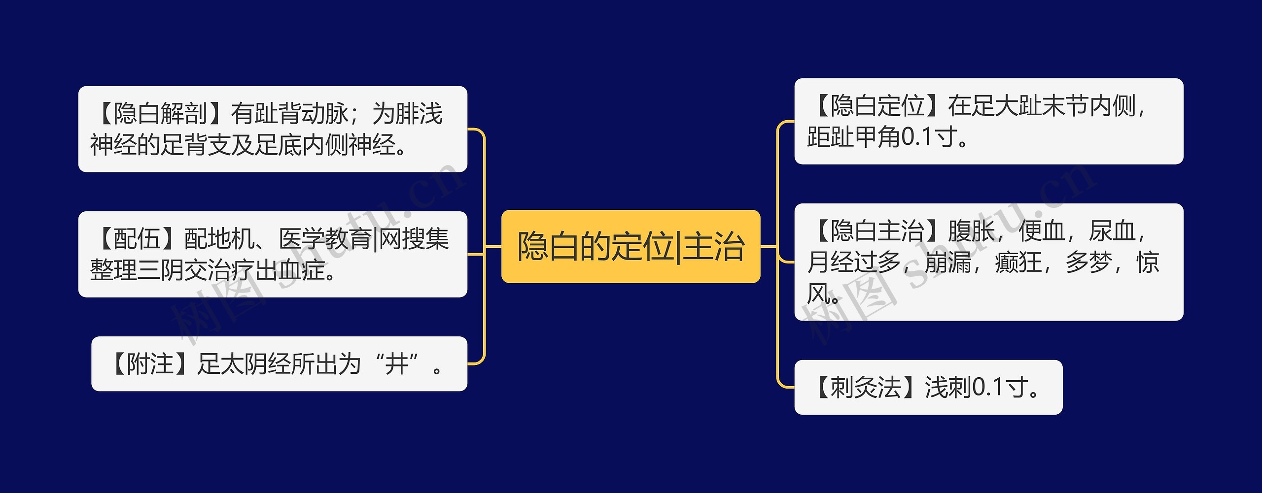 隐白的定位|主治思维导图