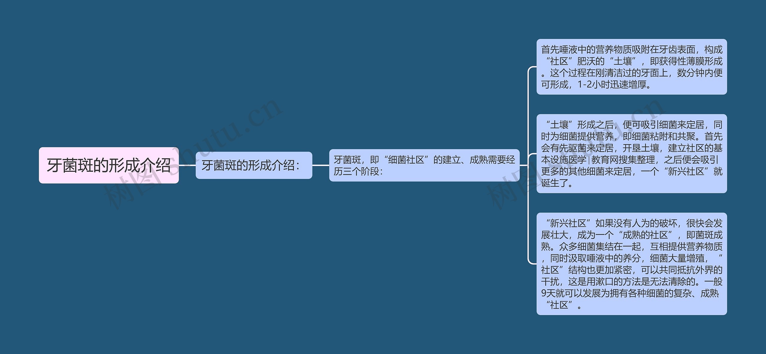 牙菌斑的形成介绍思维导图