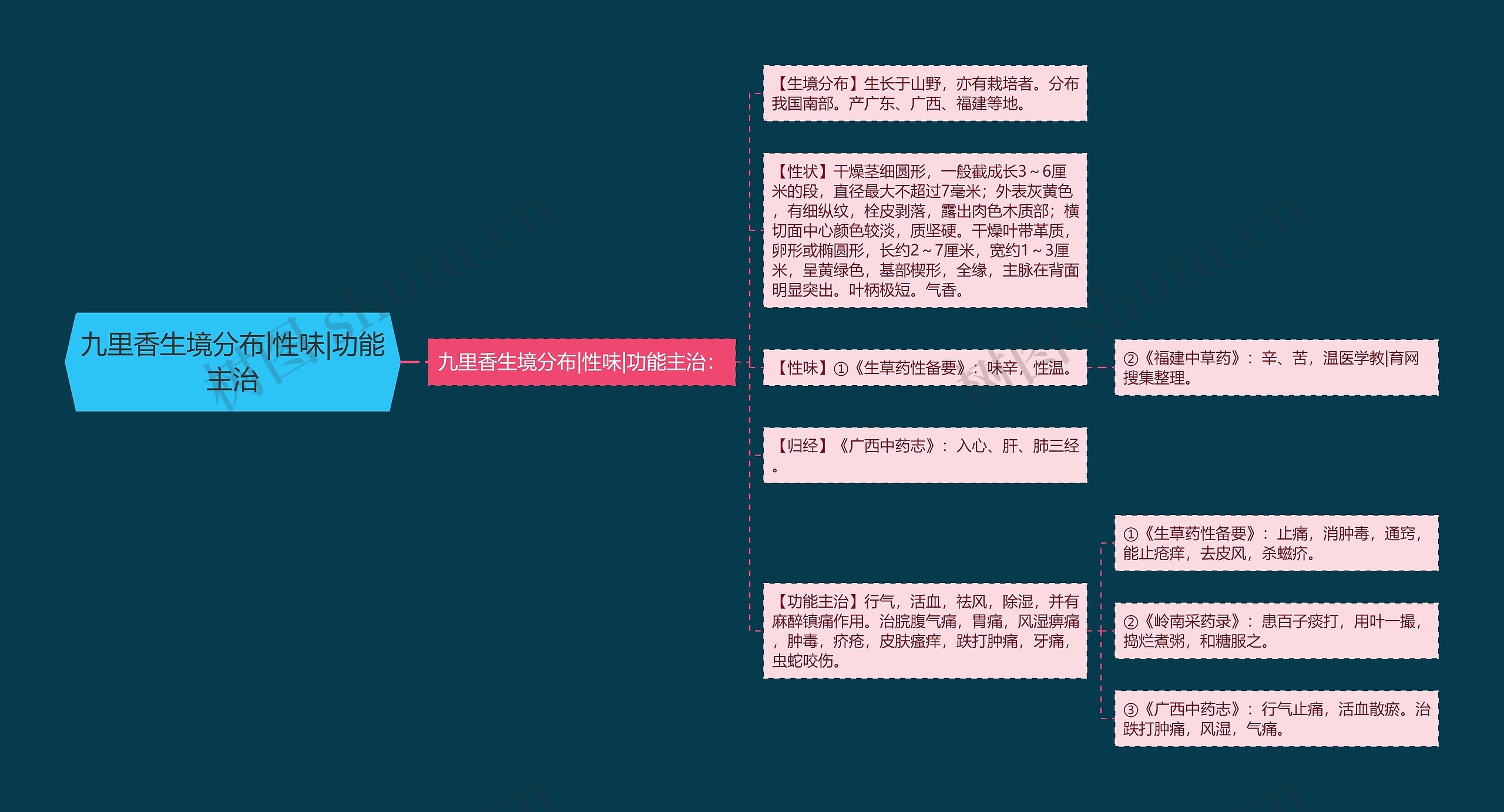 九里香生境分布|性味|功能主治思维导图