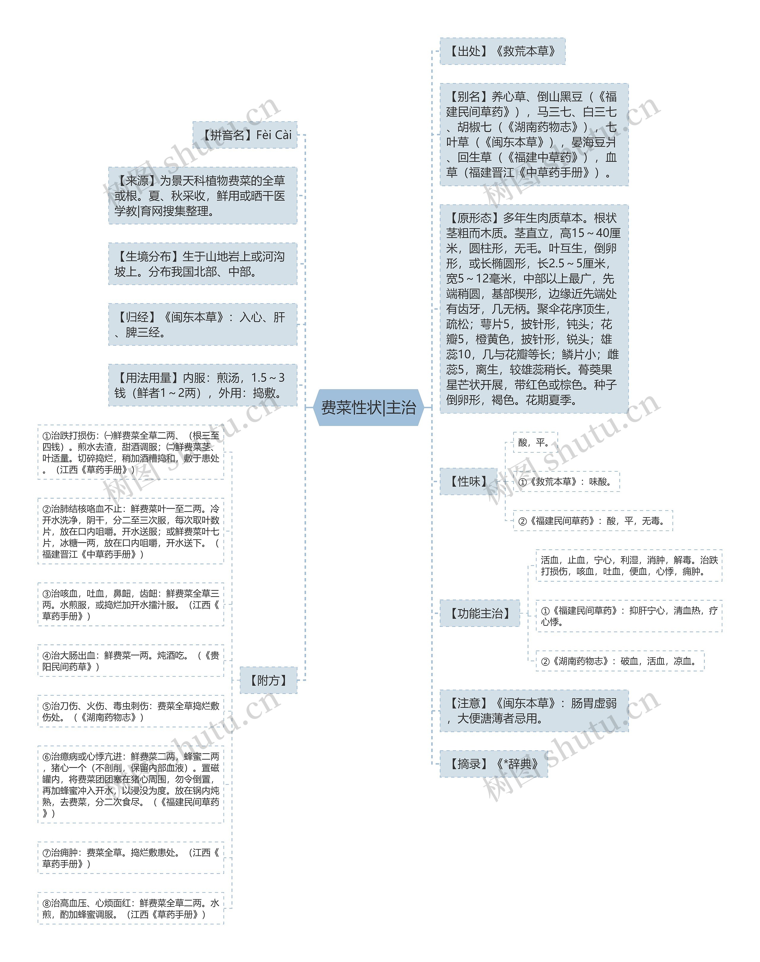 费菜性状|主治思维导图