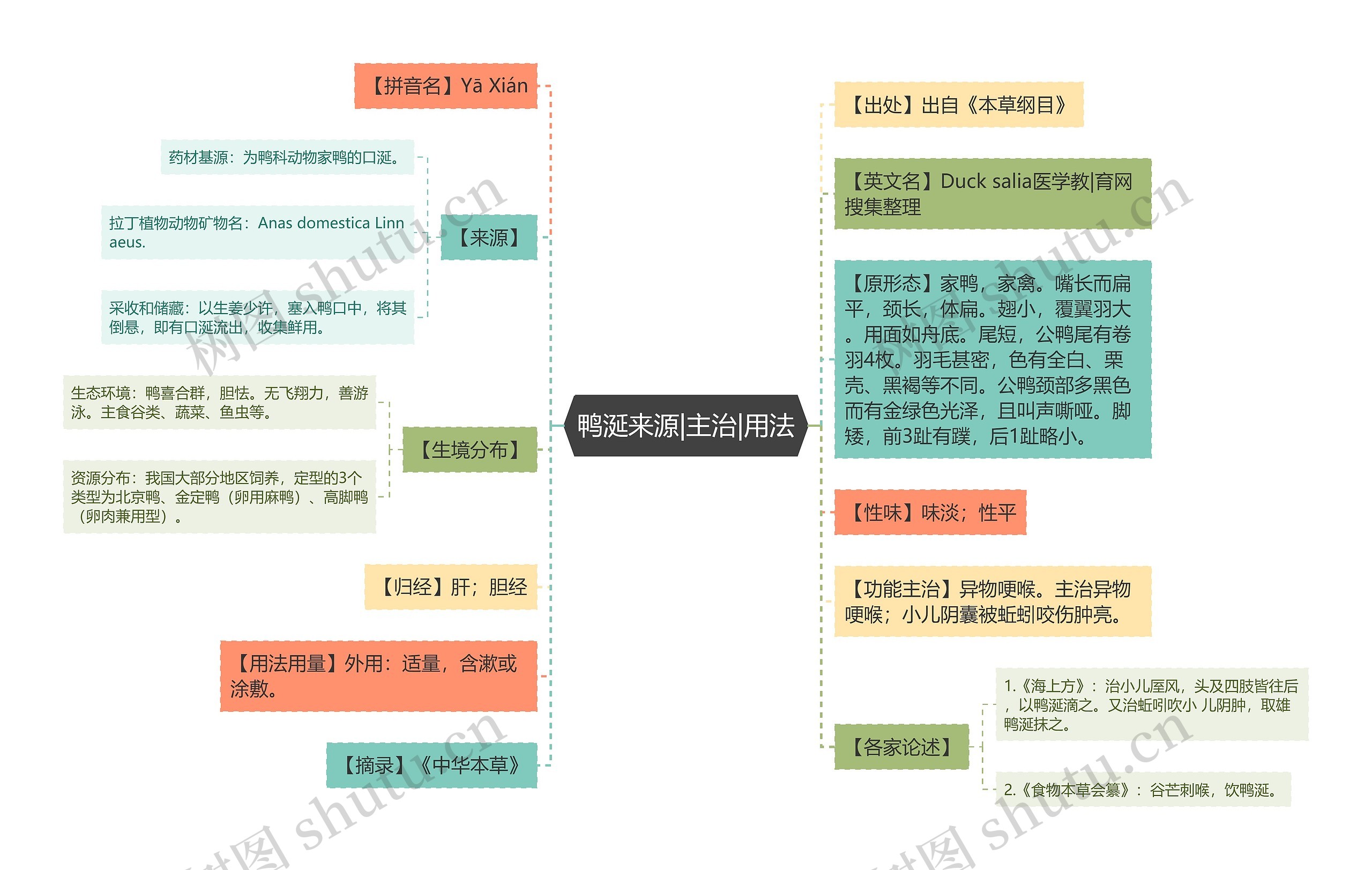 鸭涎来源|主治|用法