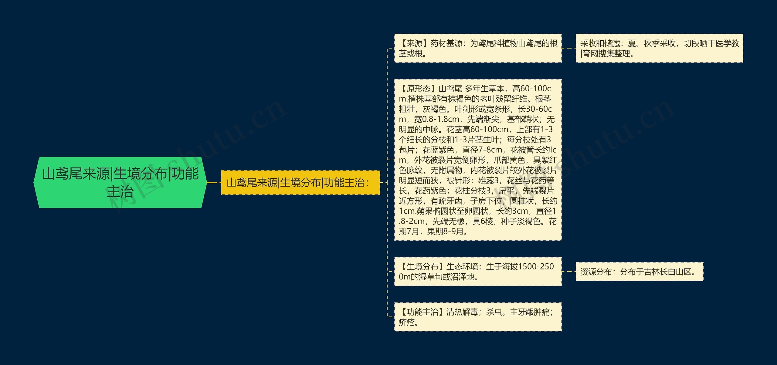 山鸢尾来源|生境分布|功能主治 山鸢尾来源|生境分布|功能主治