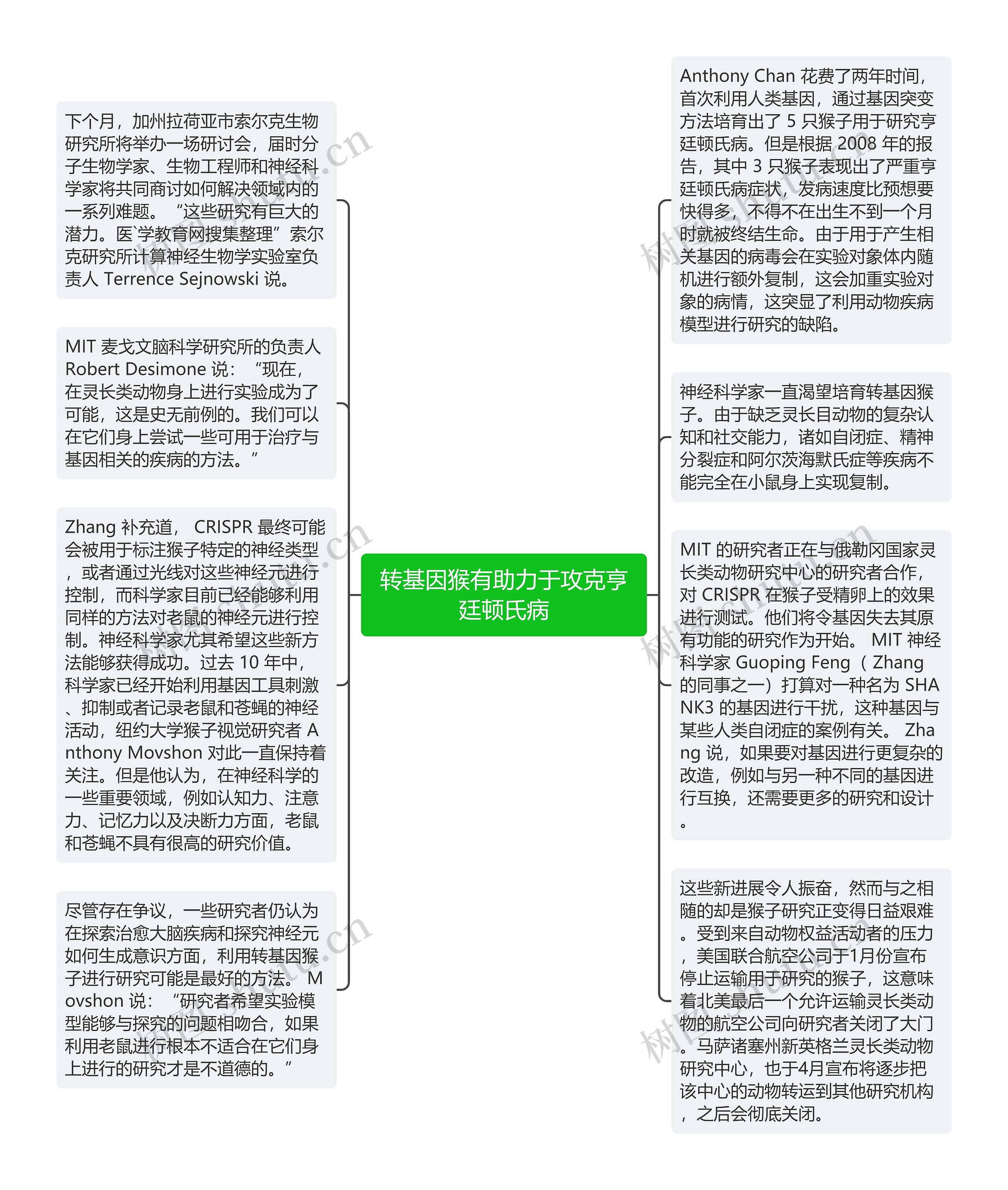 转基因猴有助力于攻克亨廷顿氏病思维导图