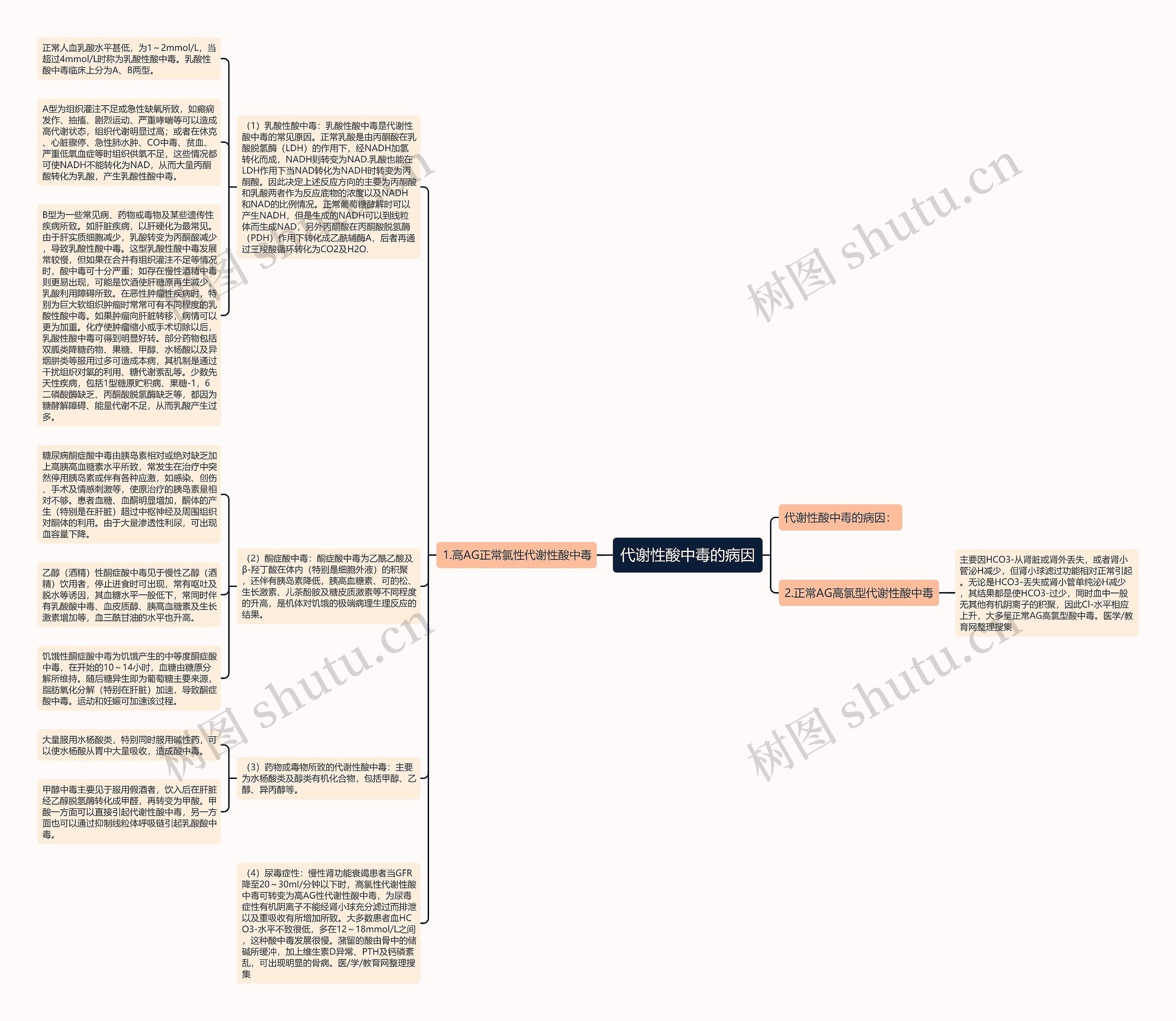 代谢性酸中毒的病因思维导图