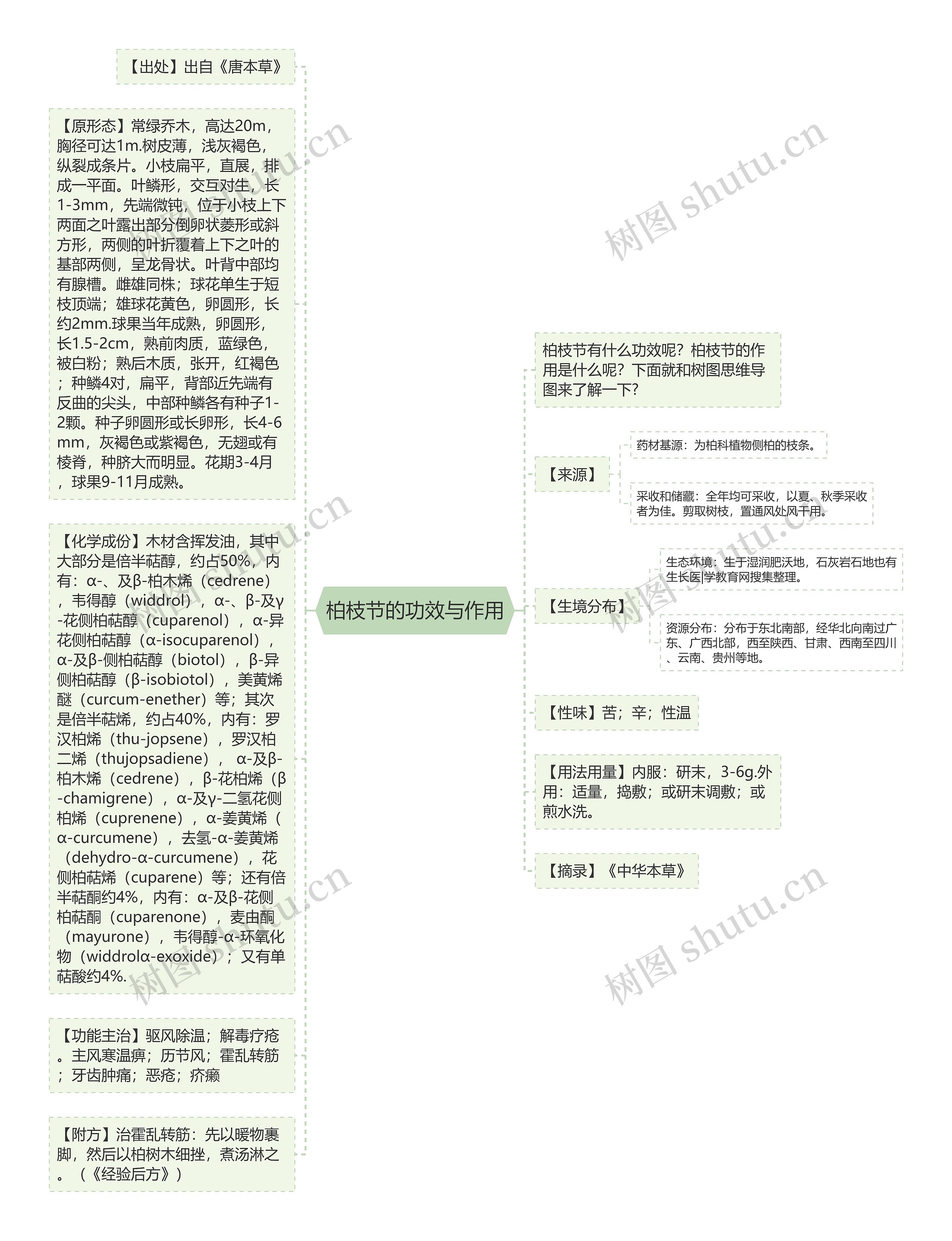 柏枝节的功效与作用思维导图