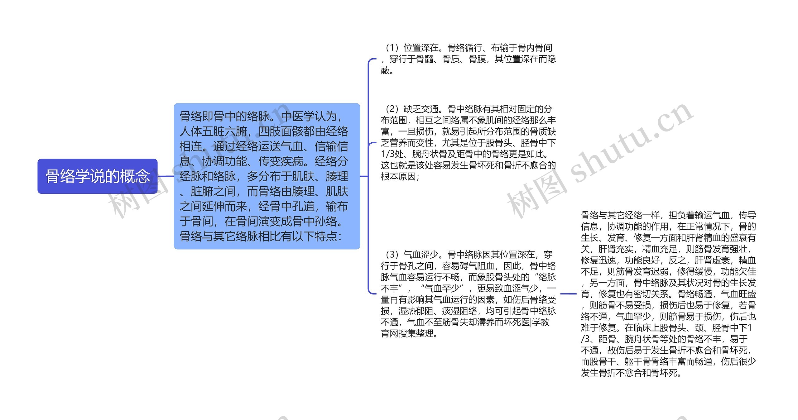 骨络学说的概念思维导图