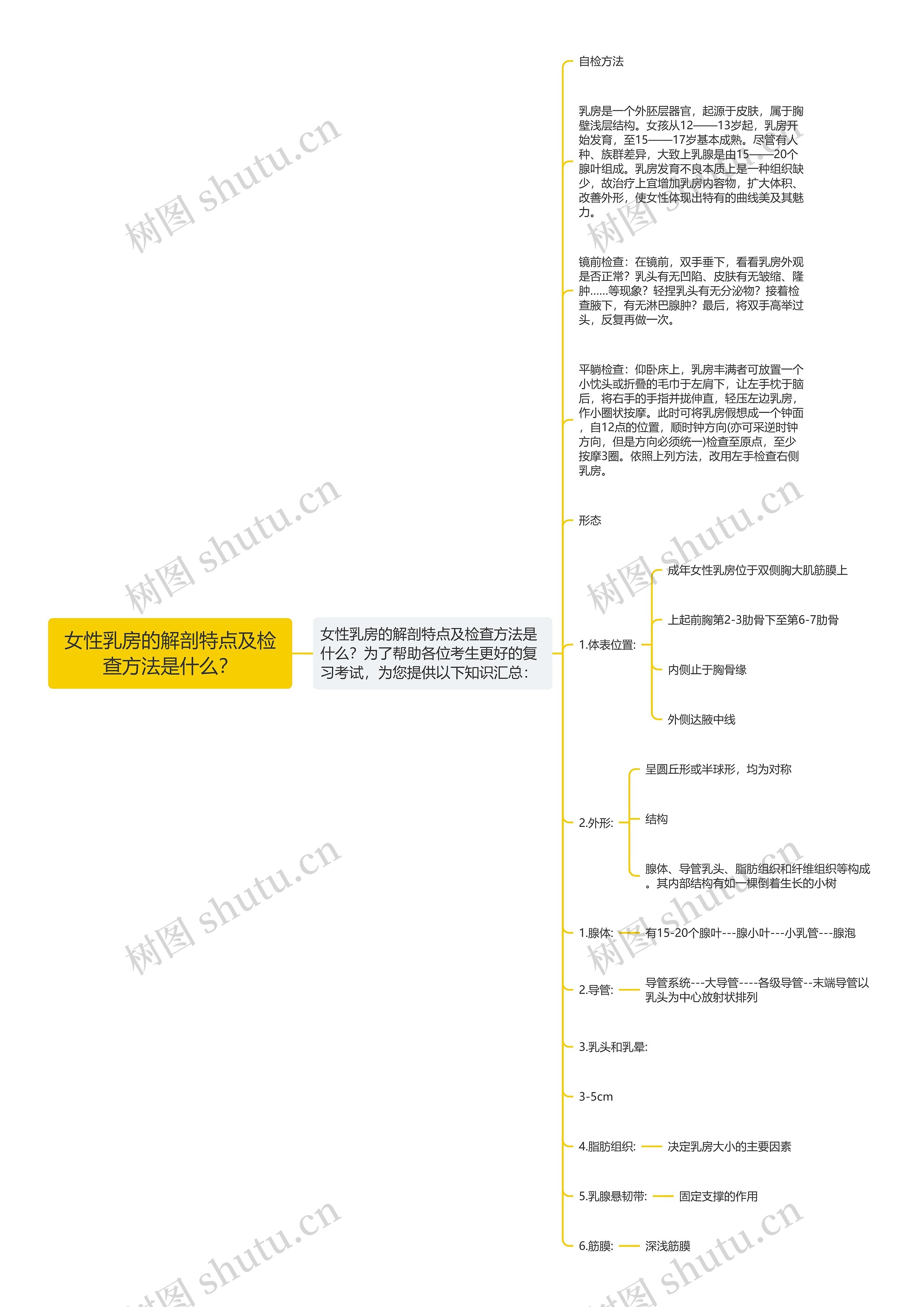 女性乳房的解剖特点及检查方法是什么? 女性乳房的解剖特点及检查方法是什么?