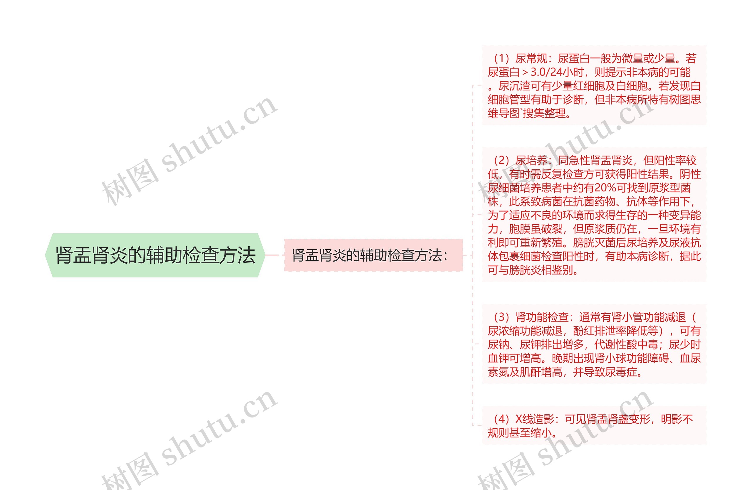 肾盂肾炎的辅助检查方法 肾盂肾炎的辅助检查方法