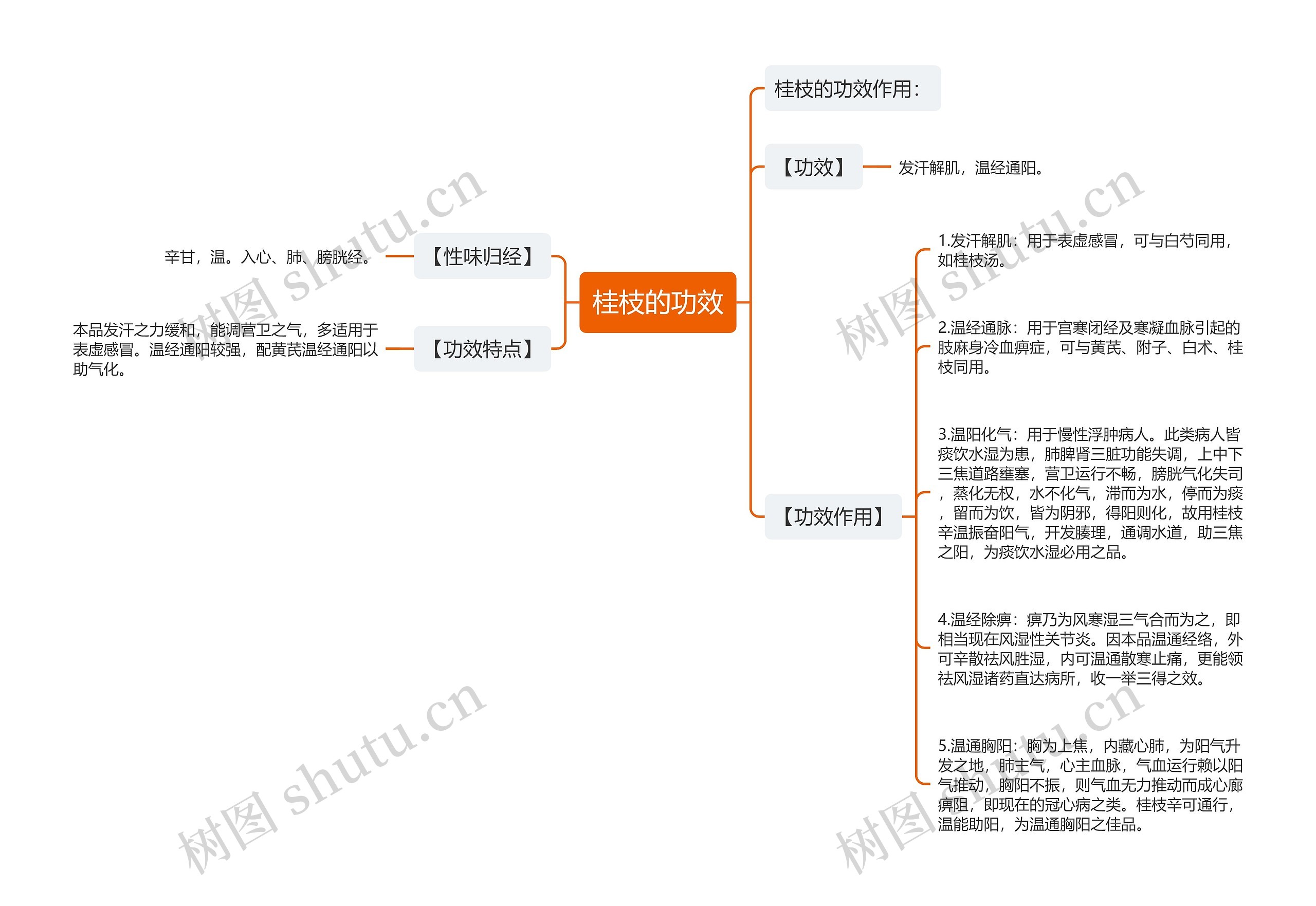 桂枝的功效思维导图