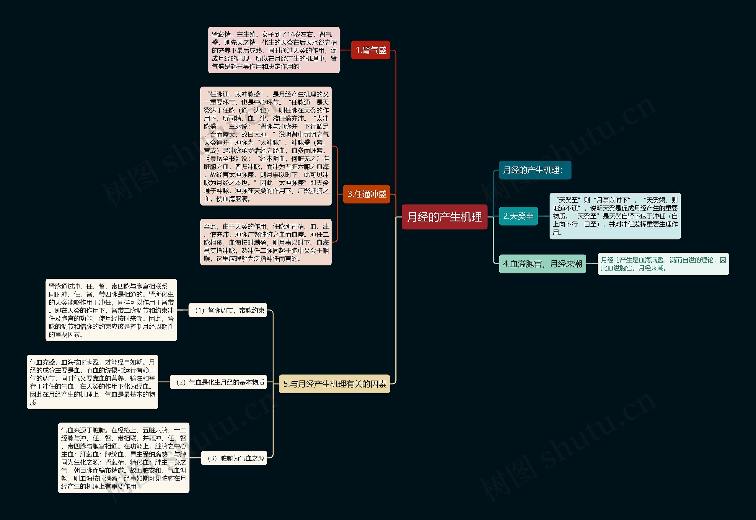 月经的产生机理思维导图