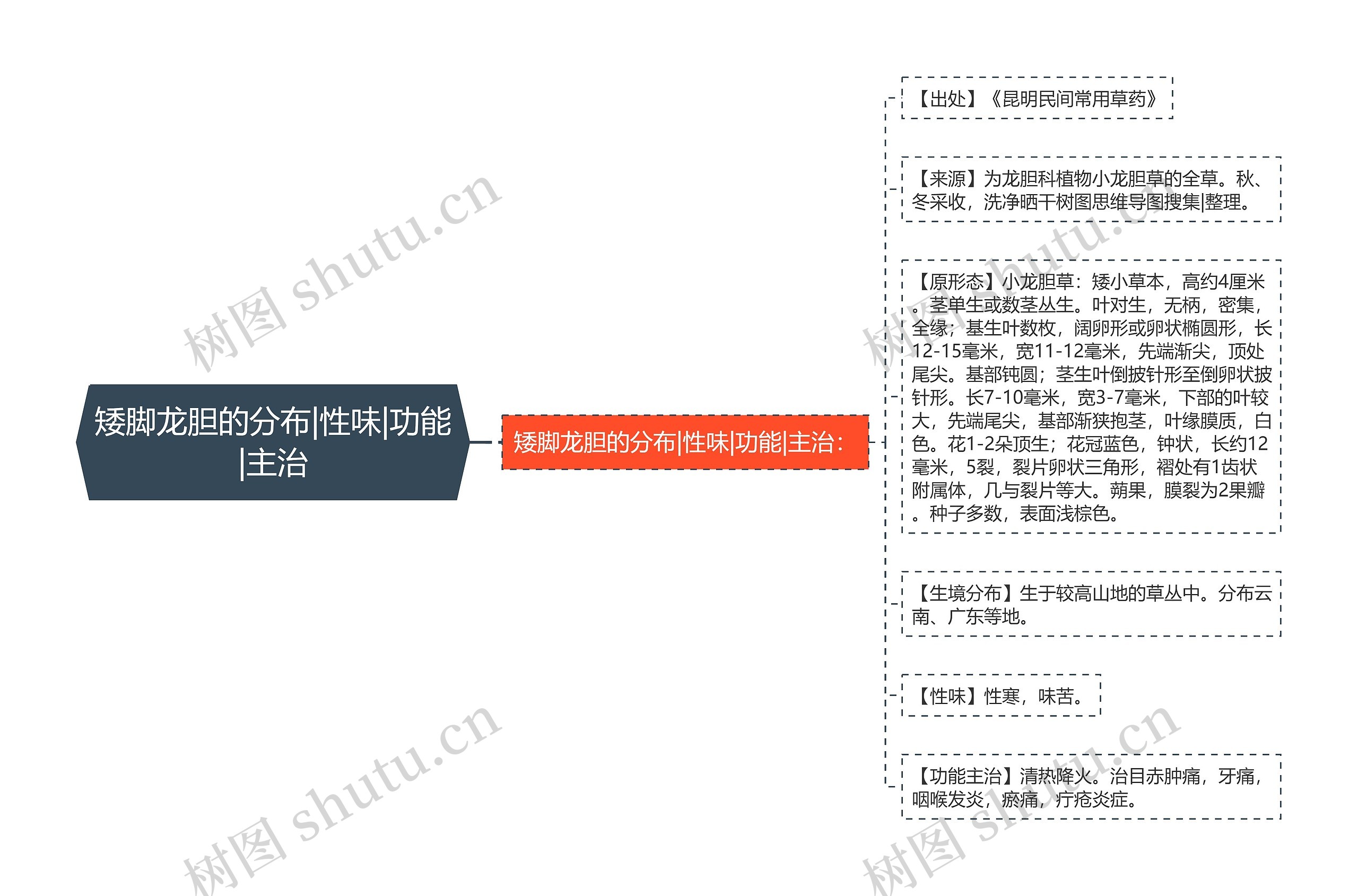 矮脚龙胆的分布|性味|功能|主治思维导图