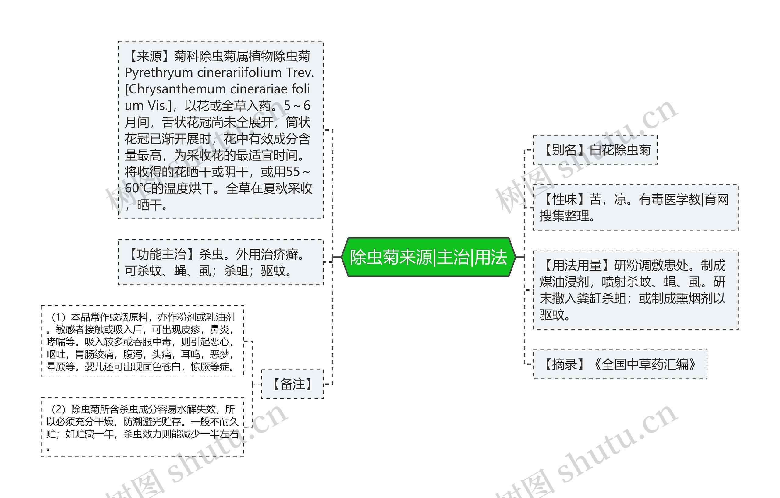 除虫菊来源|主治|用法思维导图