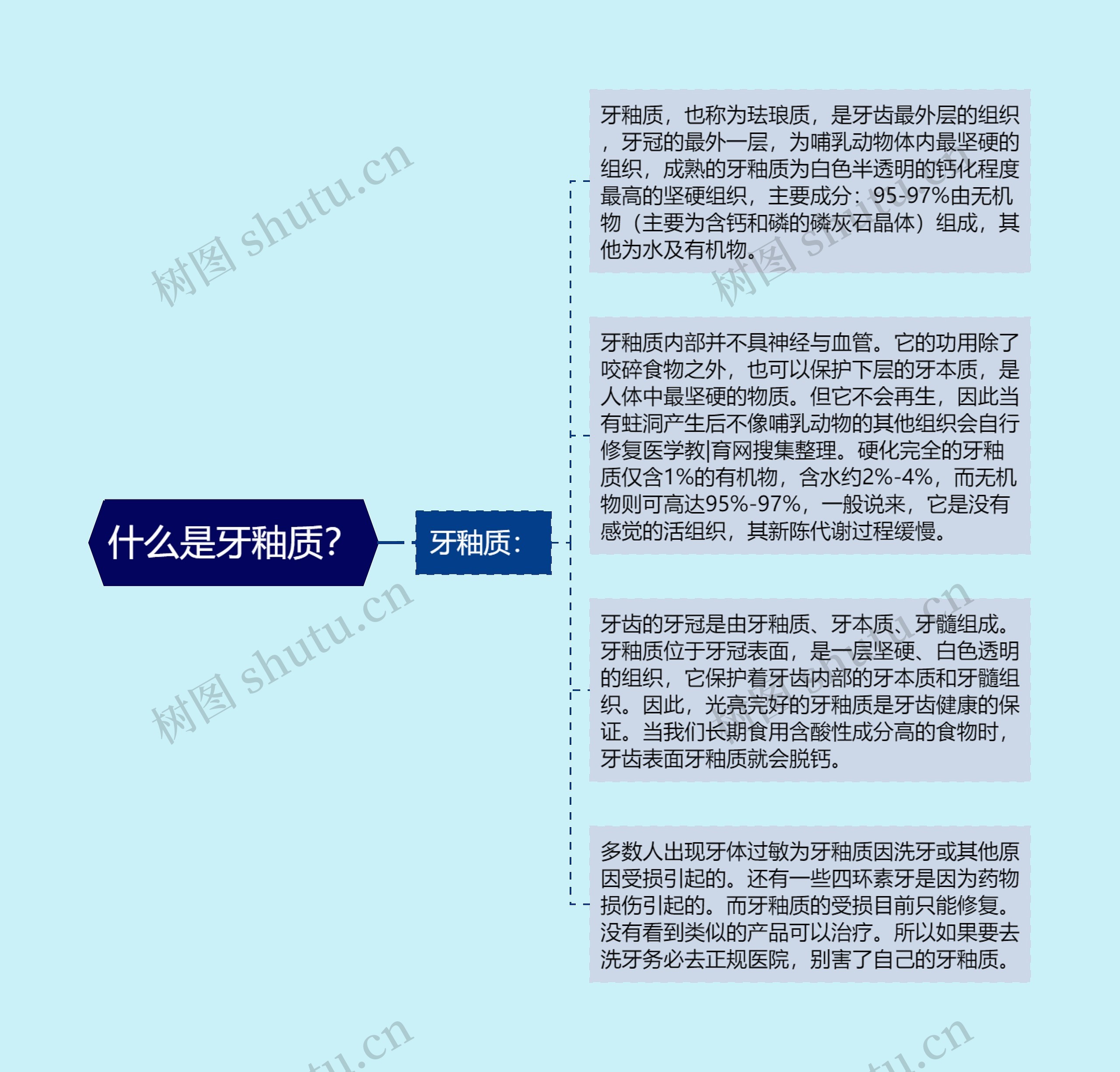 什么是牙釉质？思维导图