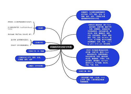 阿魏侧耳的功效与作用