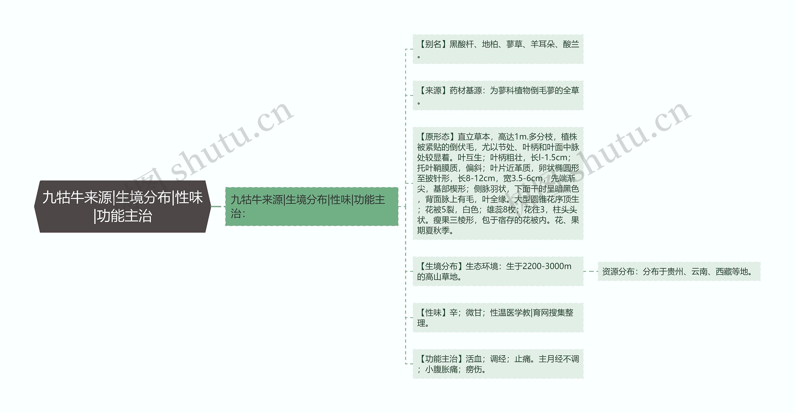 九牯牛来源|生境分布|性味|功能主治