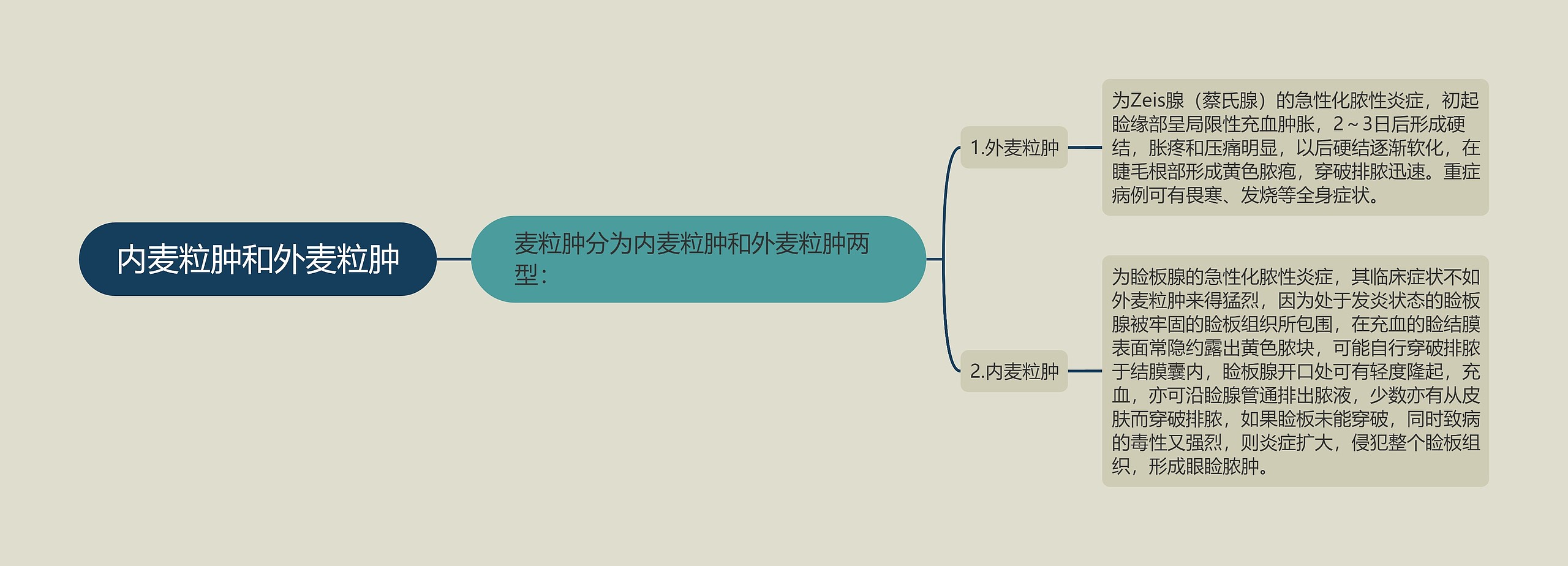 内麦粒肿和外麦粒肿思维导图