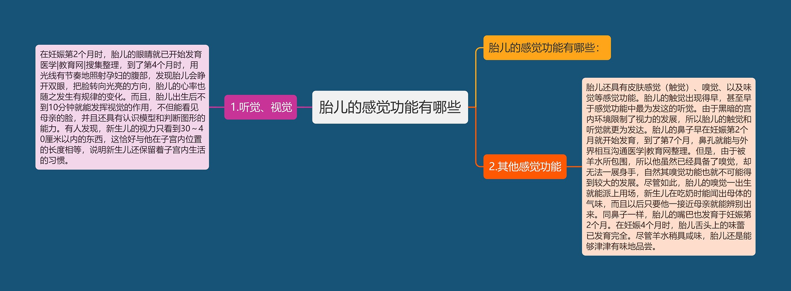 胎儿的感觉功能有哪些思维导图