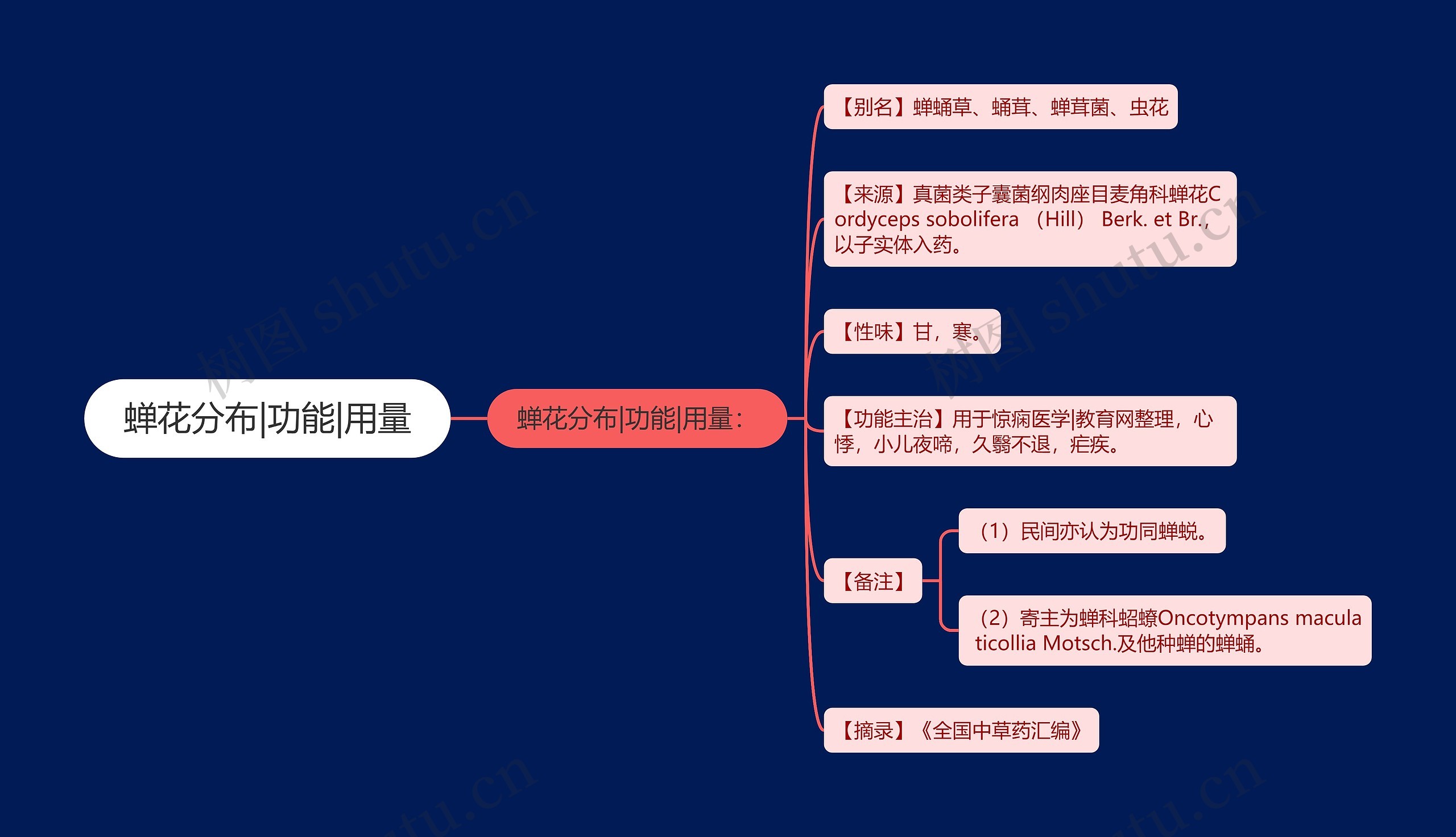 蝉花分布|功能|用量