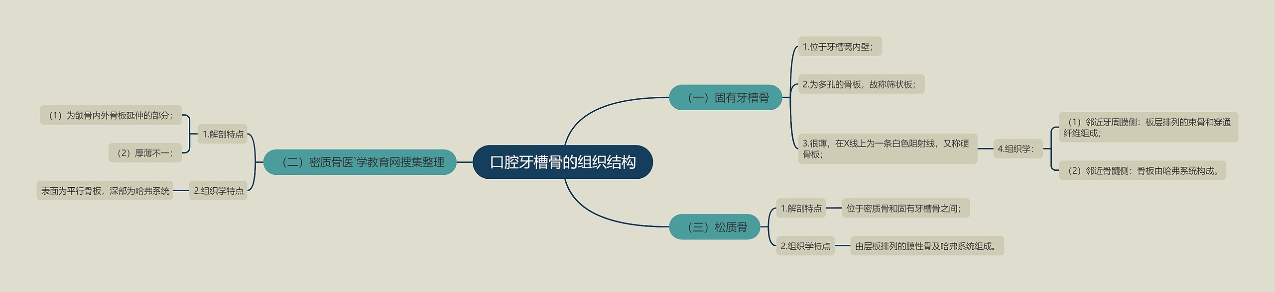 口腔牙槽骨的组织结构 口腔牙槽骨的组织结构