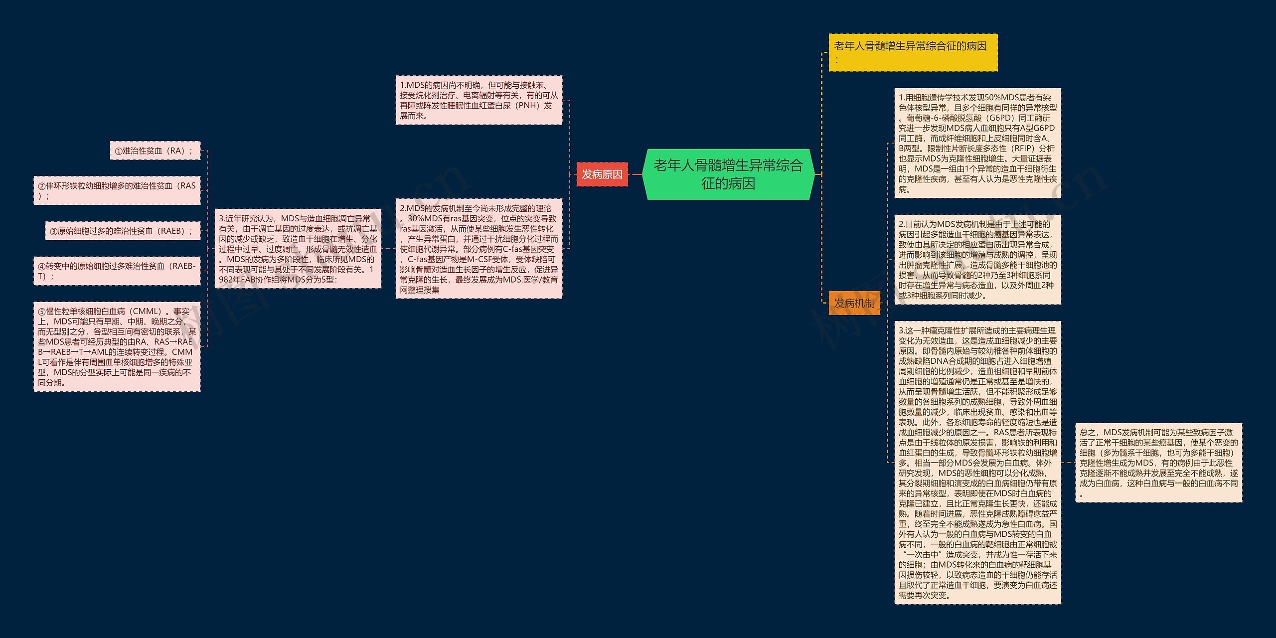 老年人骨髓增生异常综合征的病因思维导图