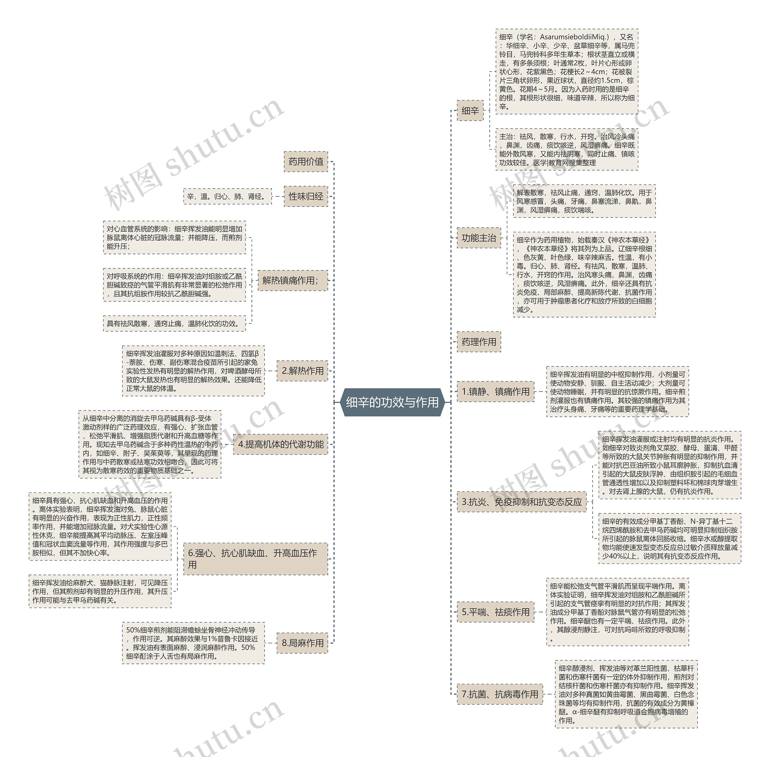 细辛的功效与作用思维导图