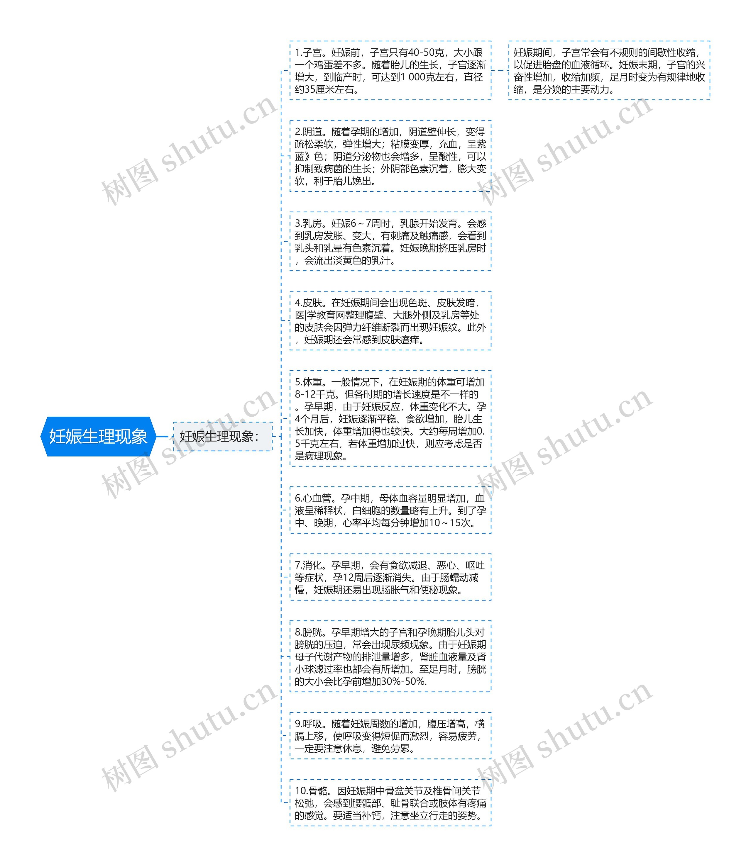 妊娠生理现象思维导图高清图 妊娠生理现象思维导图