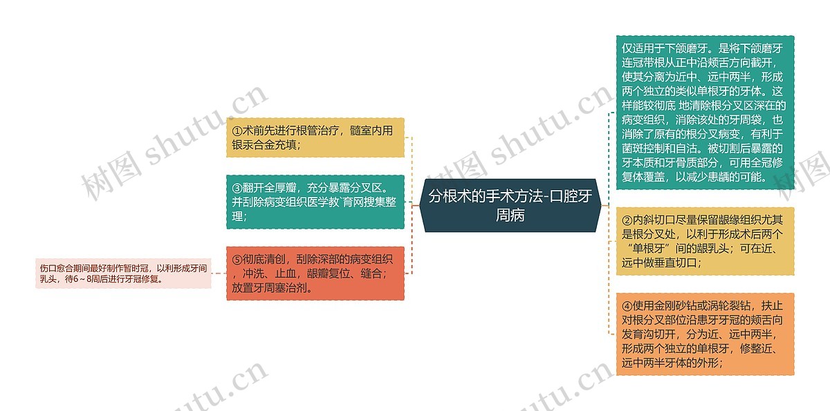 分根术的手术方法-口腔牙周病思维导图_编号p6814537-TreeMind树图